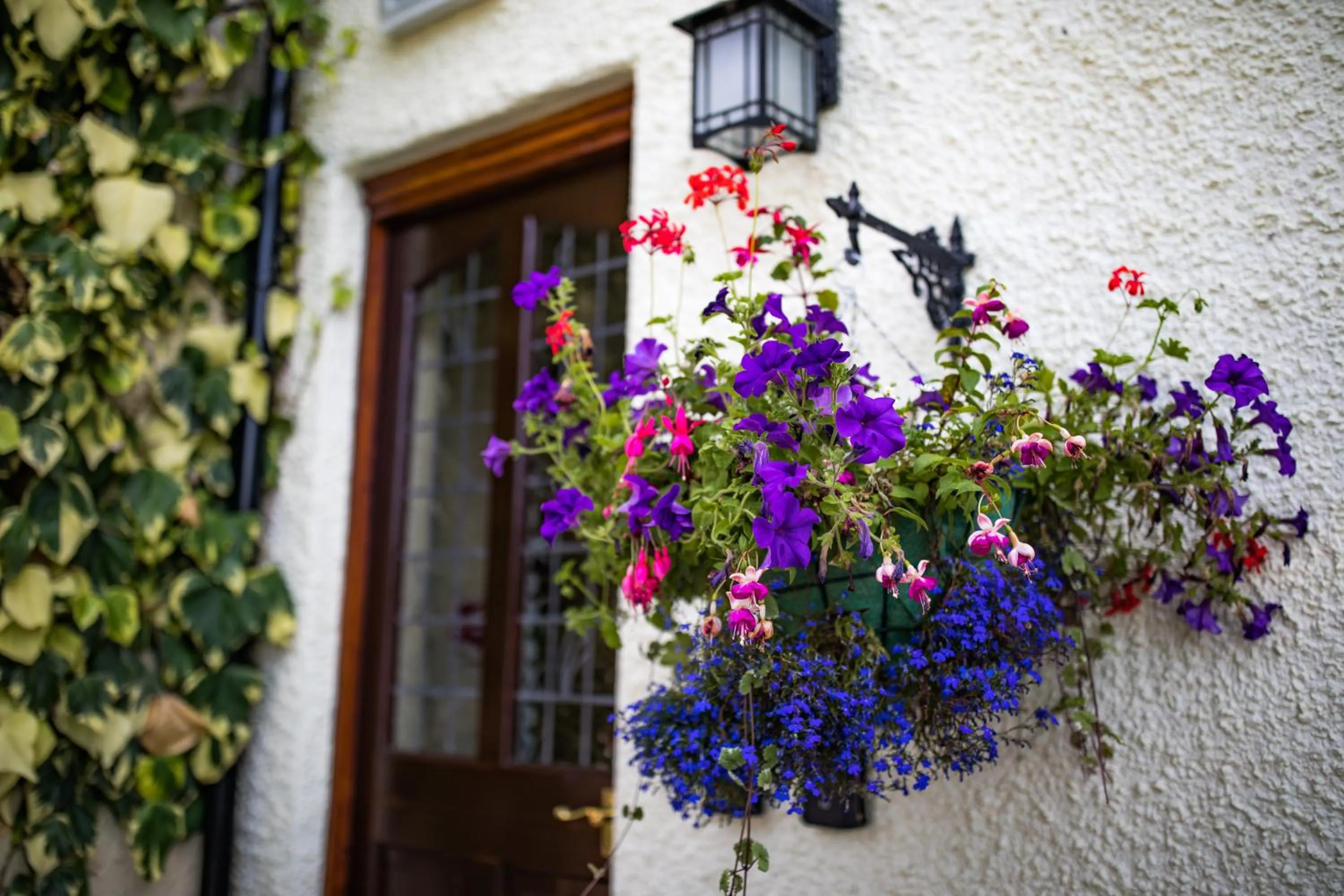 Facade/entrance in The Cottage