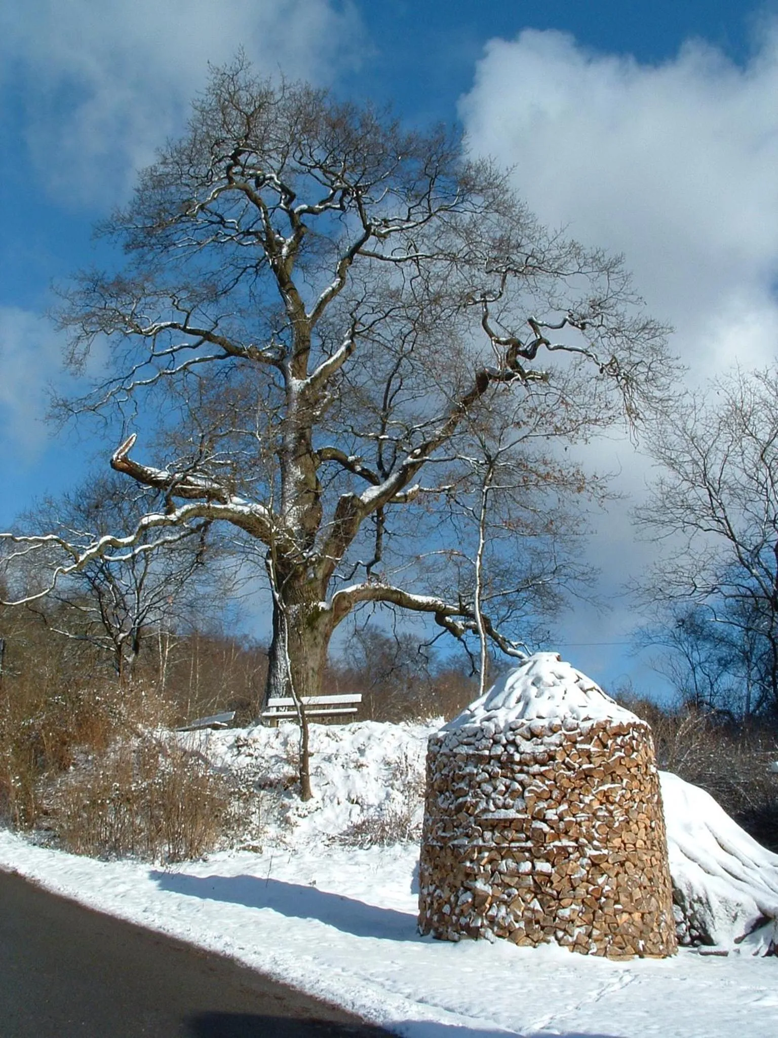 Hotel Schwalenberger Malkasten