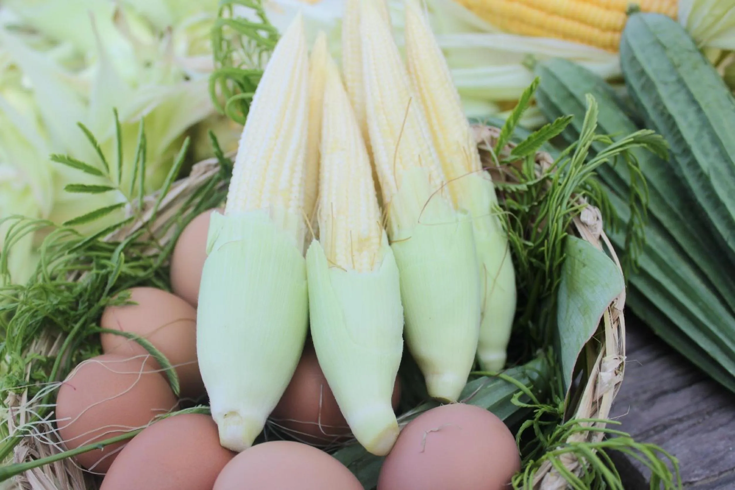 Property building in Menam Resort