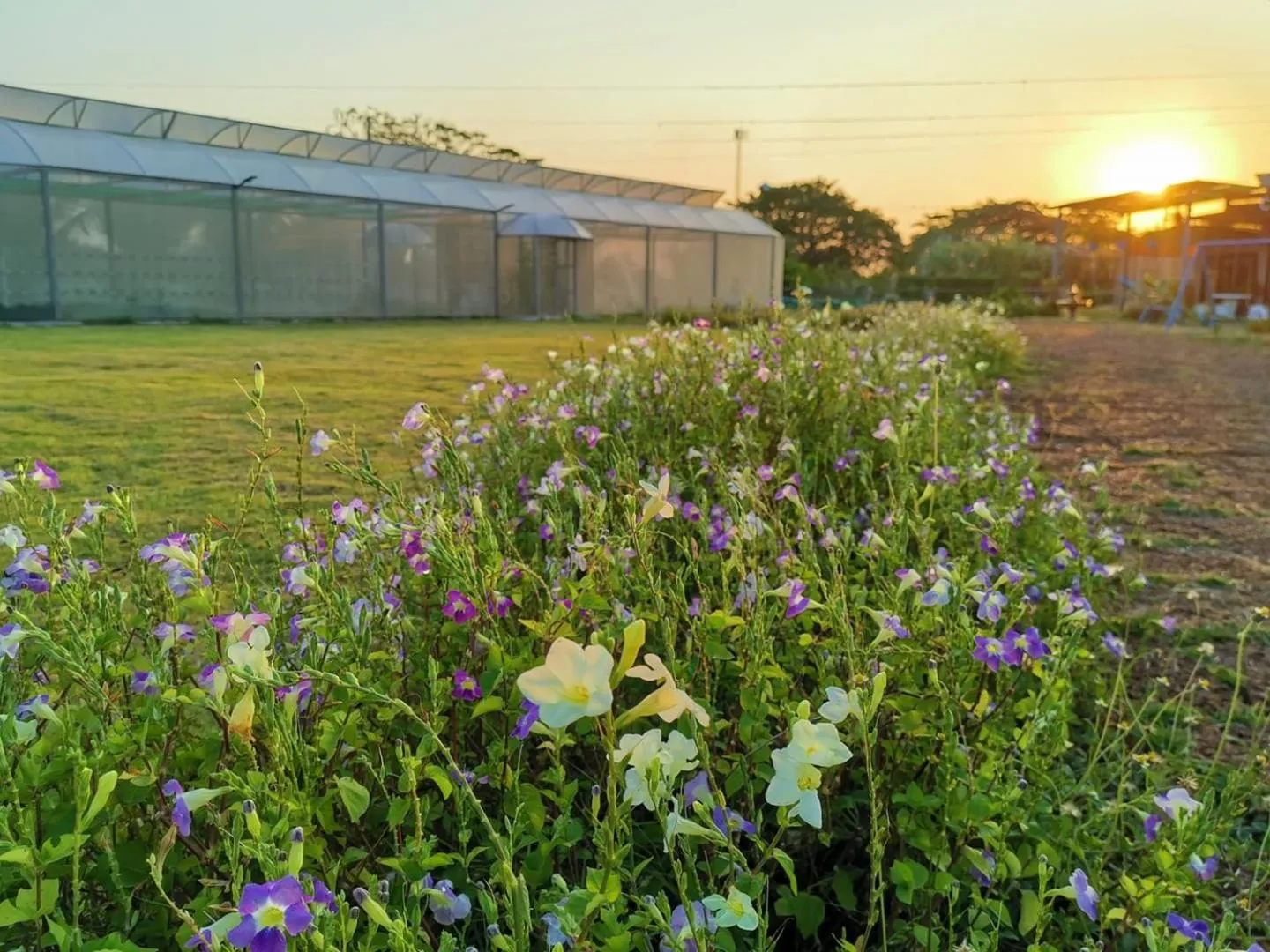 Neighbourhood in Menam Resort
