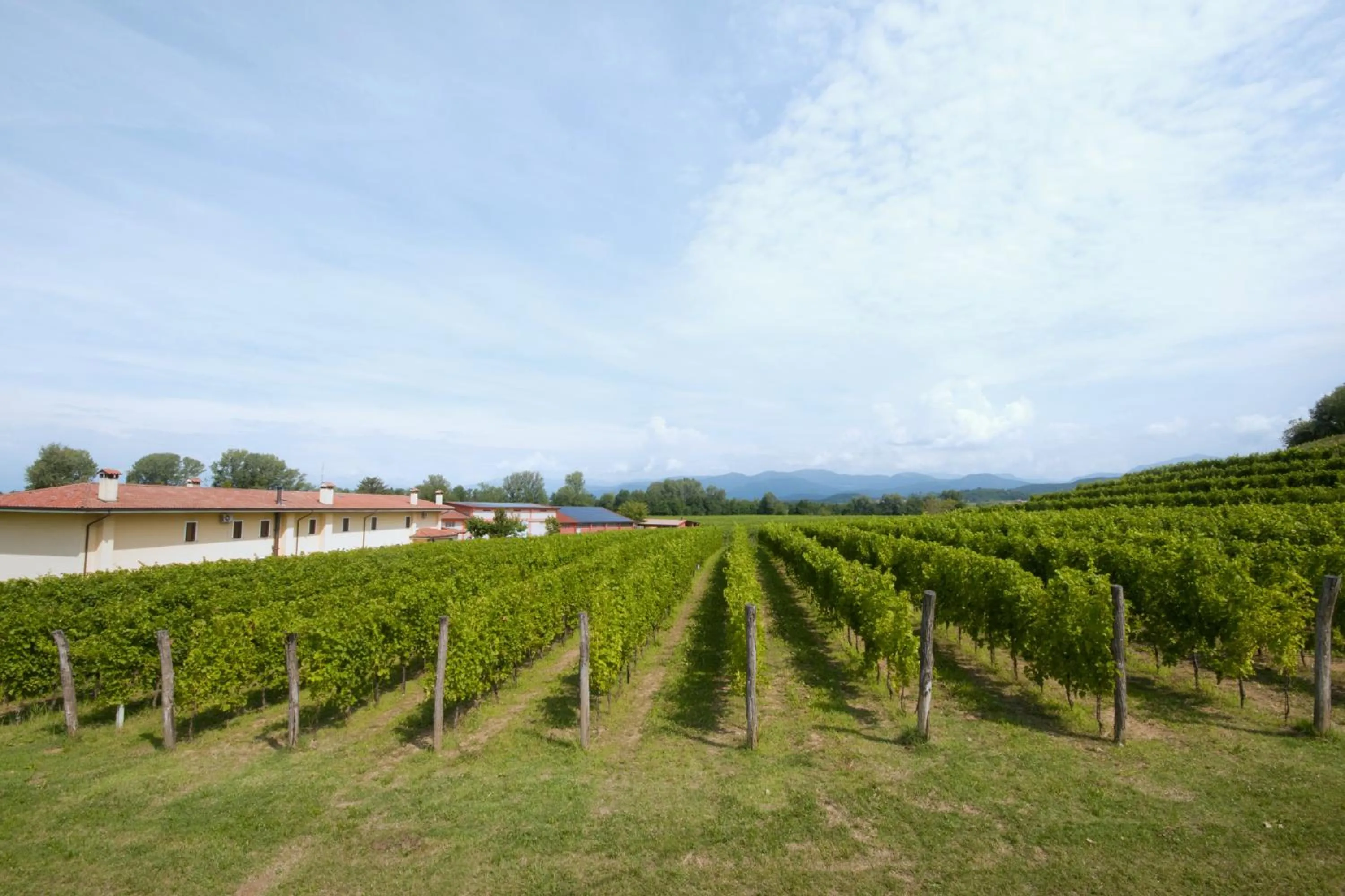 Alloggio Agrituristico CORTE SAN BIAGIO