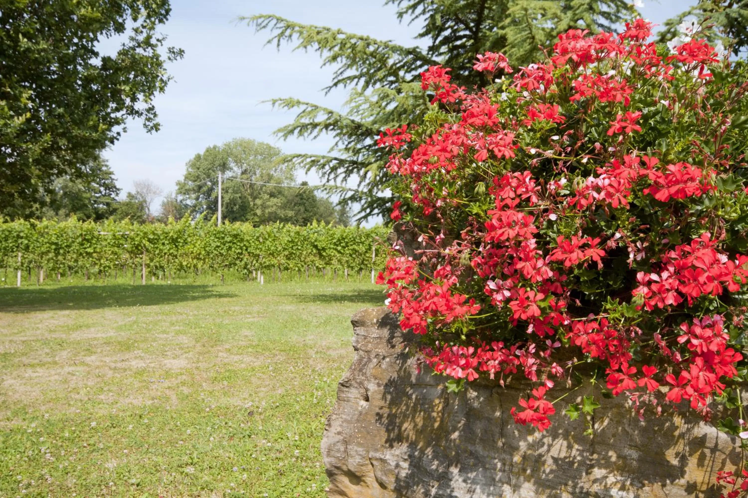 Alloggio Agrituristico CORTE SAN BIAGIO