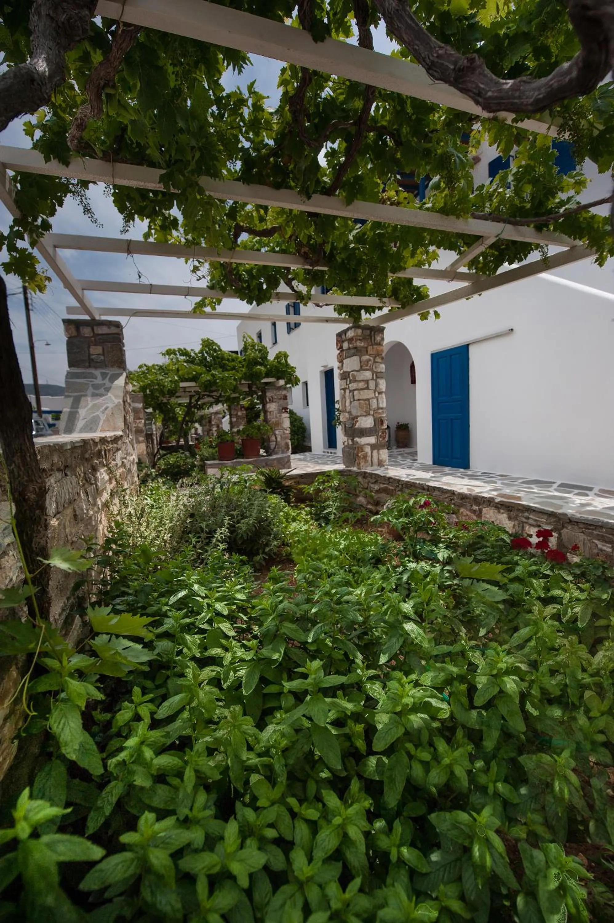 Garden in Anixis Studios Aliki Paros