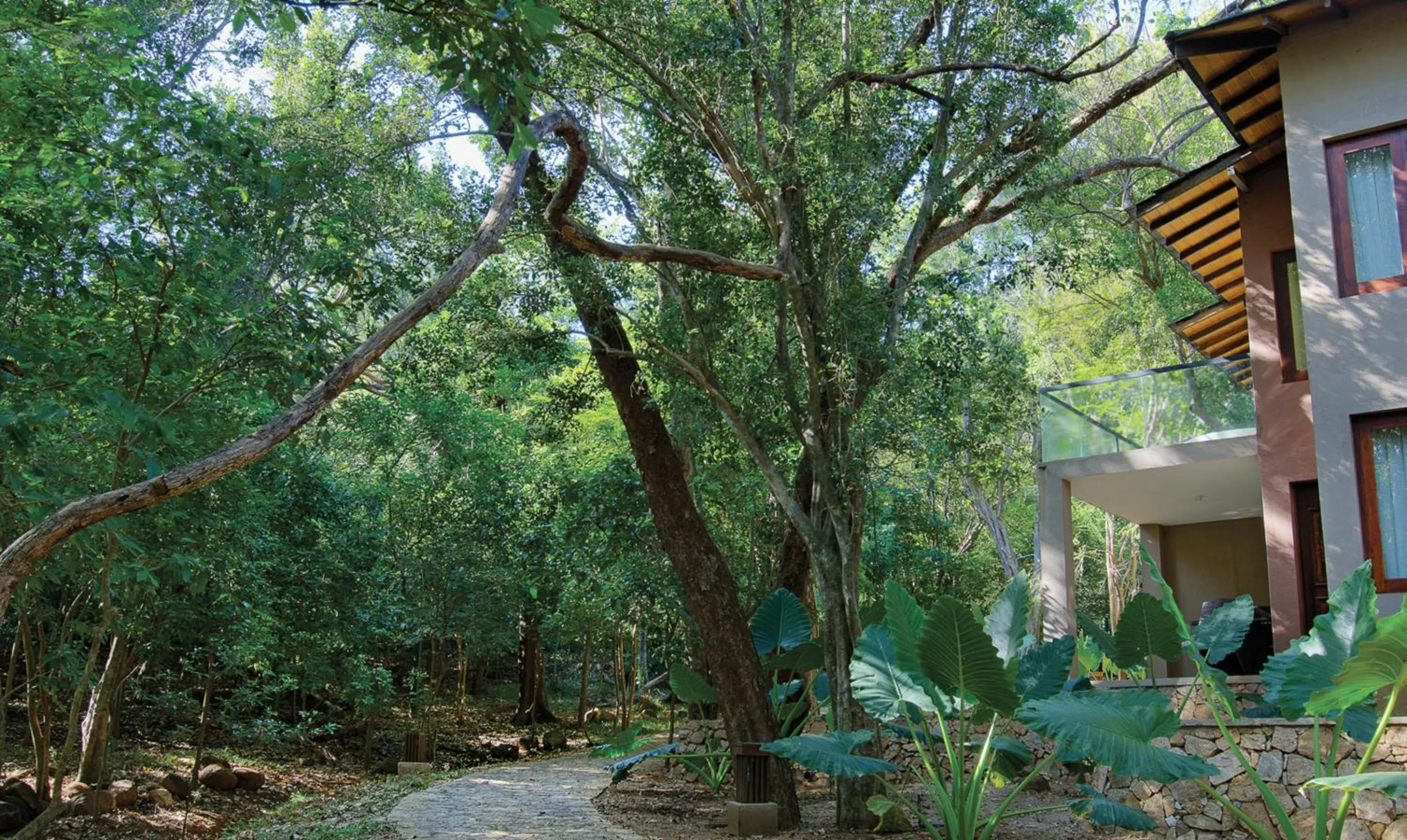 Property building in The Deer Park Hotel