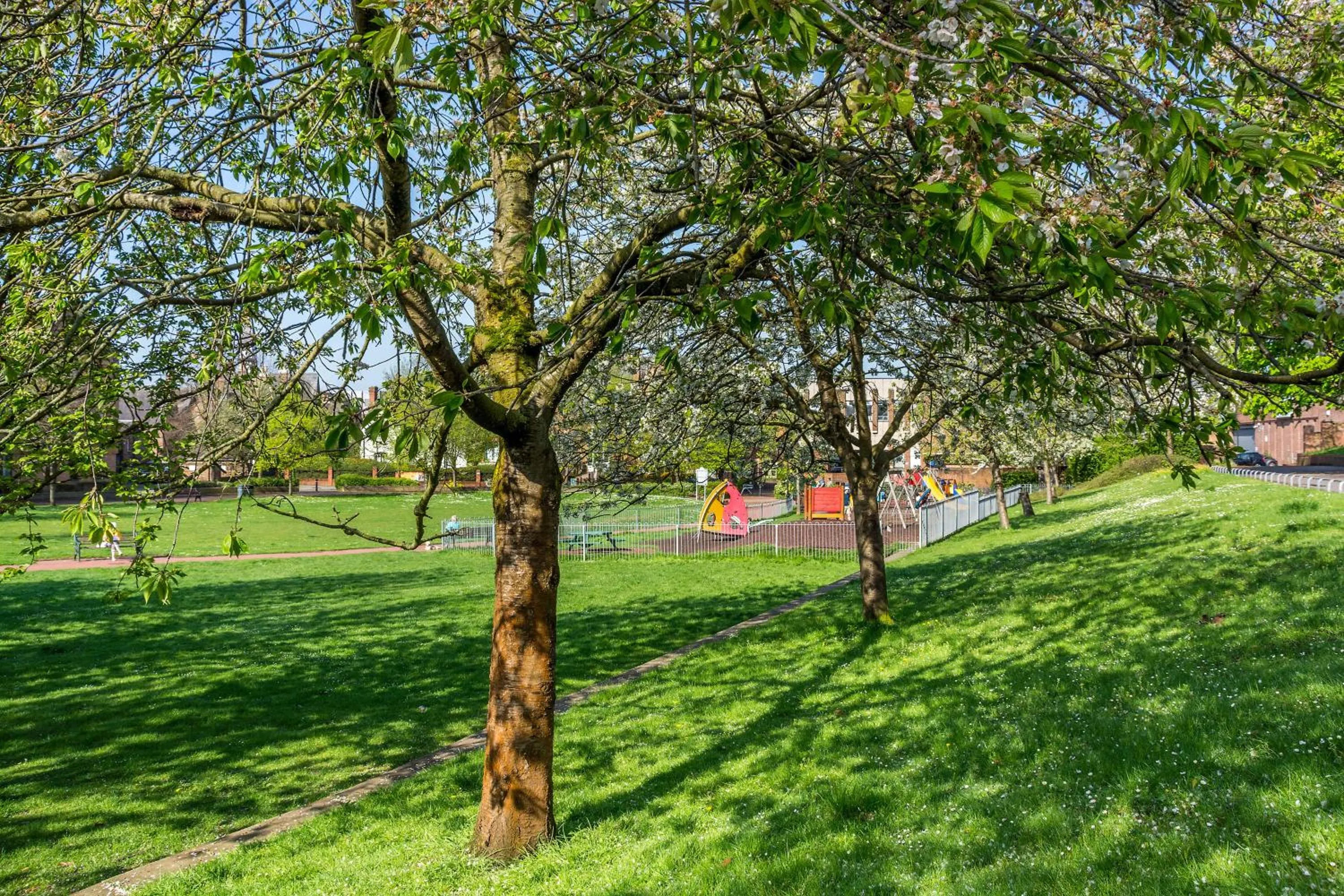 Natural landscape in Castle Properties: The Duchess, 3 Bed Family cottage