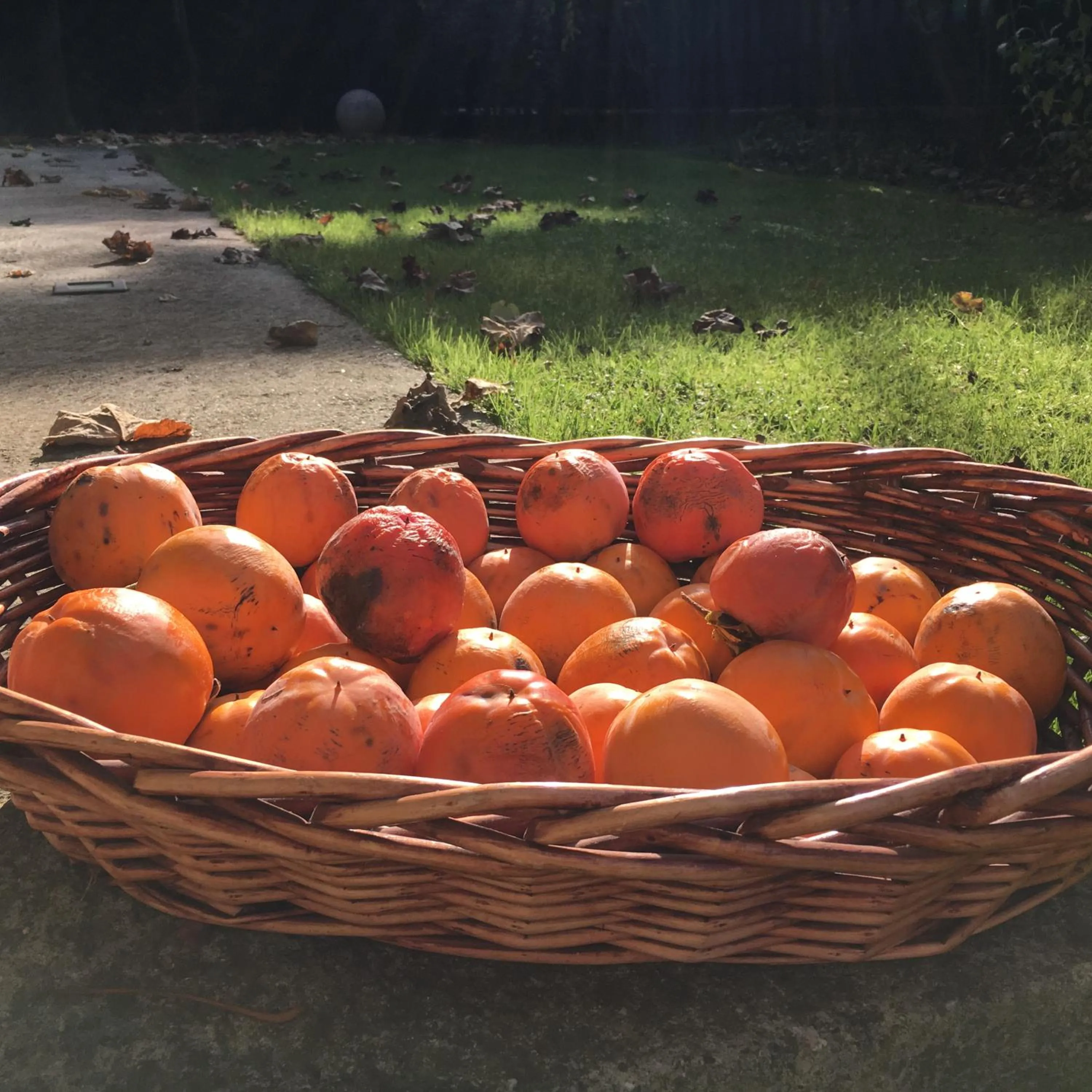 Property building in Casa Chiara B&B