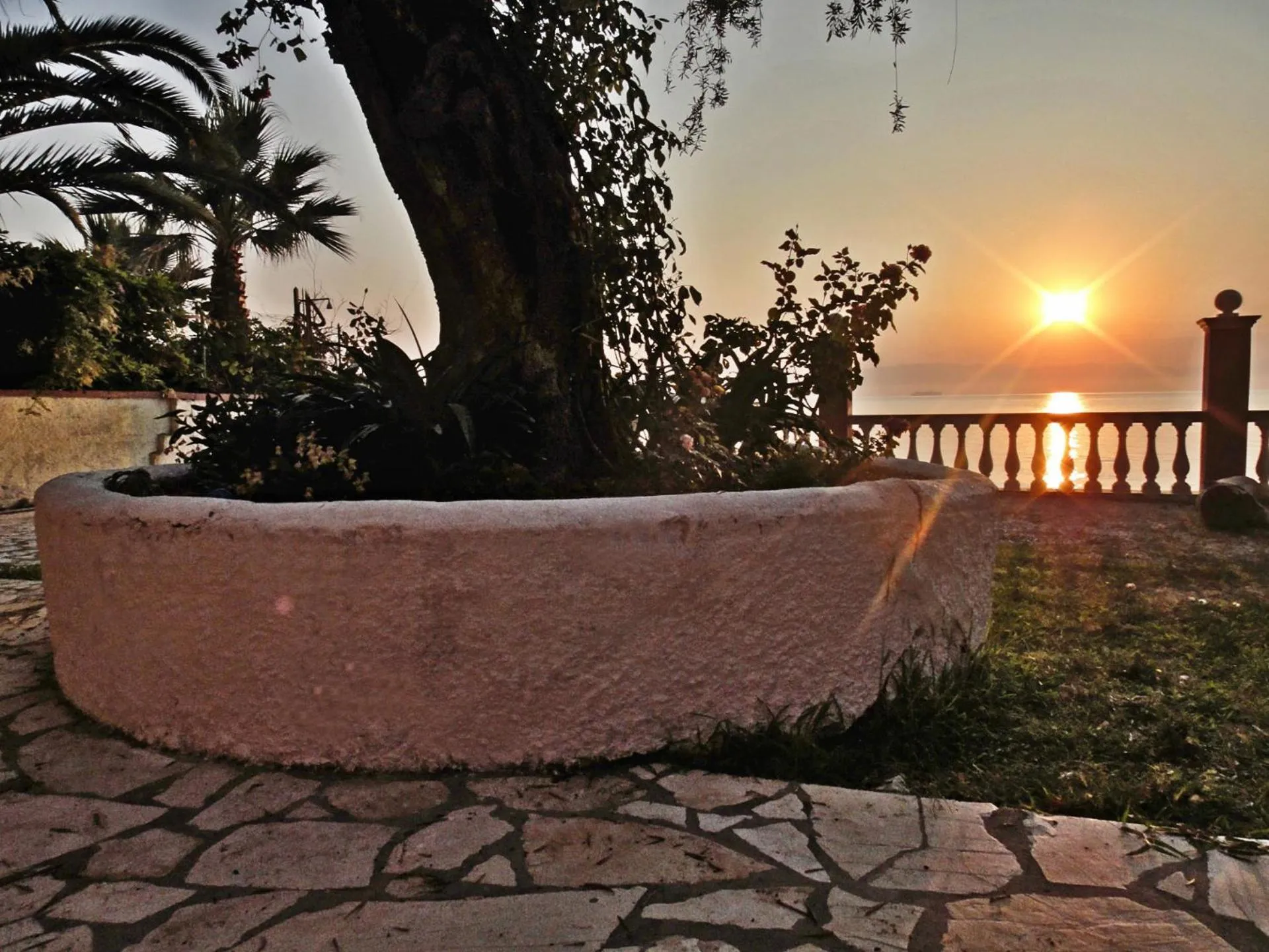 Area and facilities in Apartments Corfu Sun Sea Side