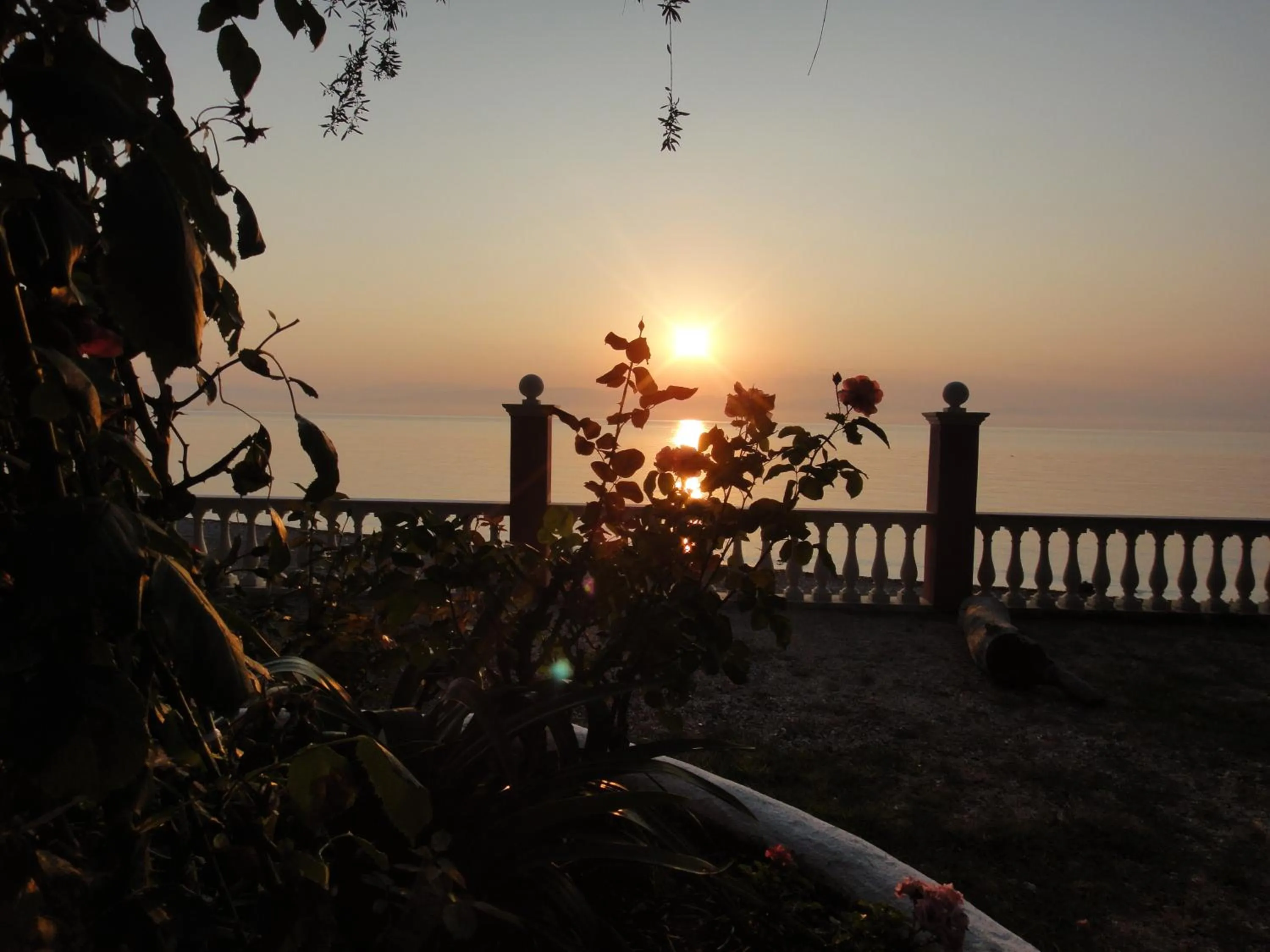 Garden in Apartments Corfu Sun Sea Side
