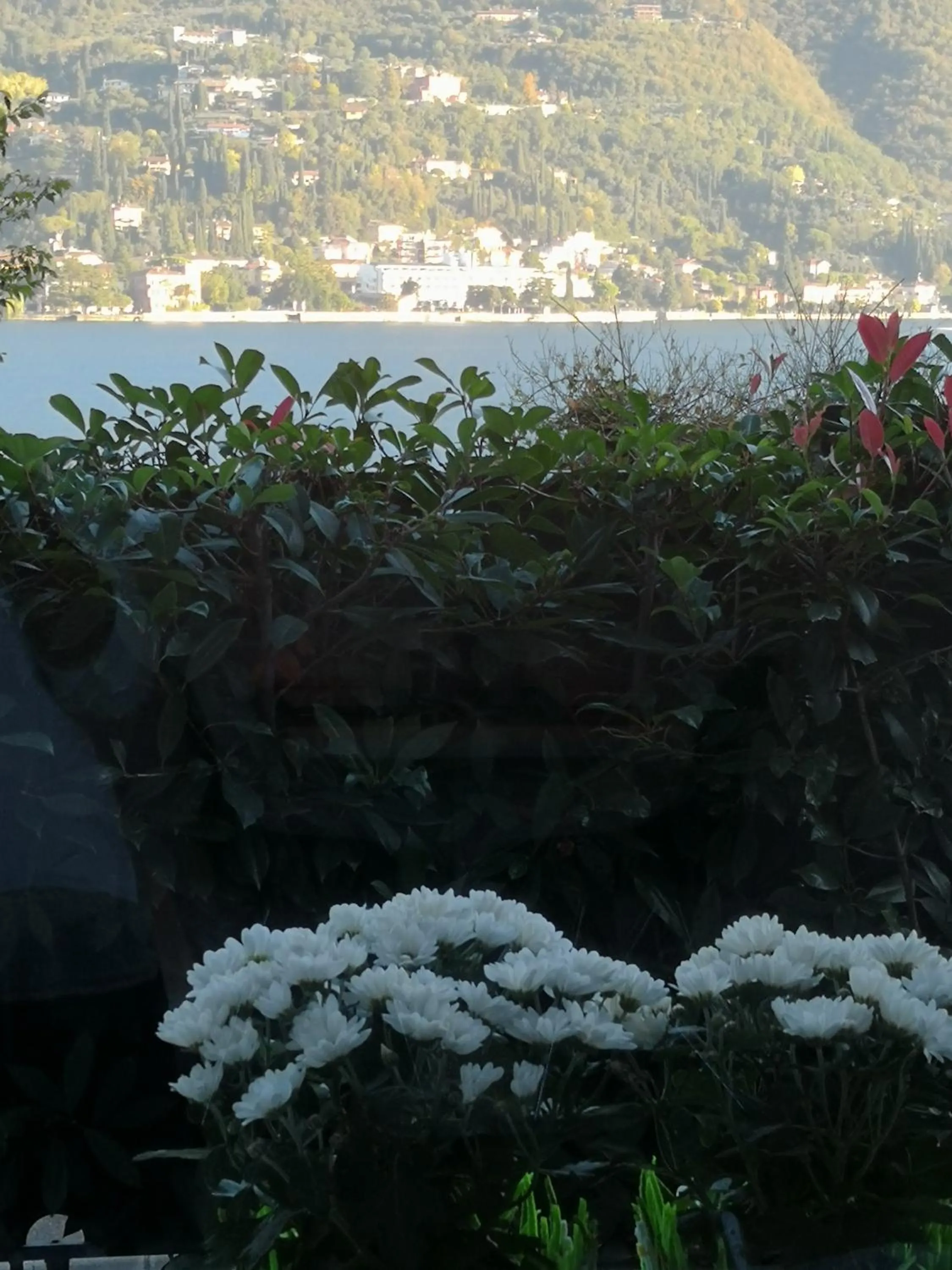 View (from property/room) in B&B Le Farfalle