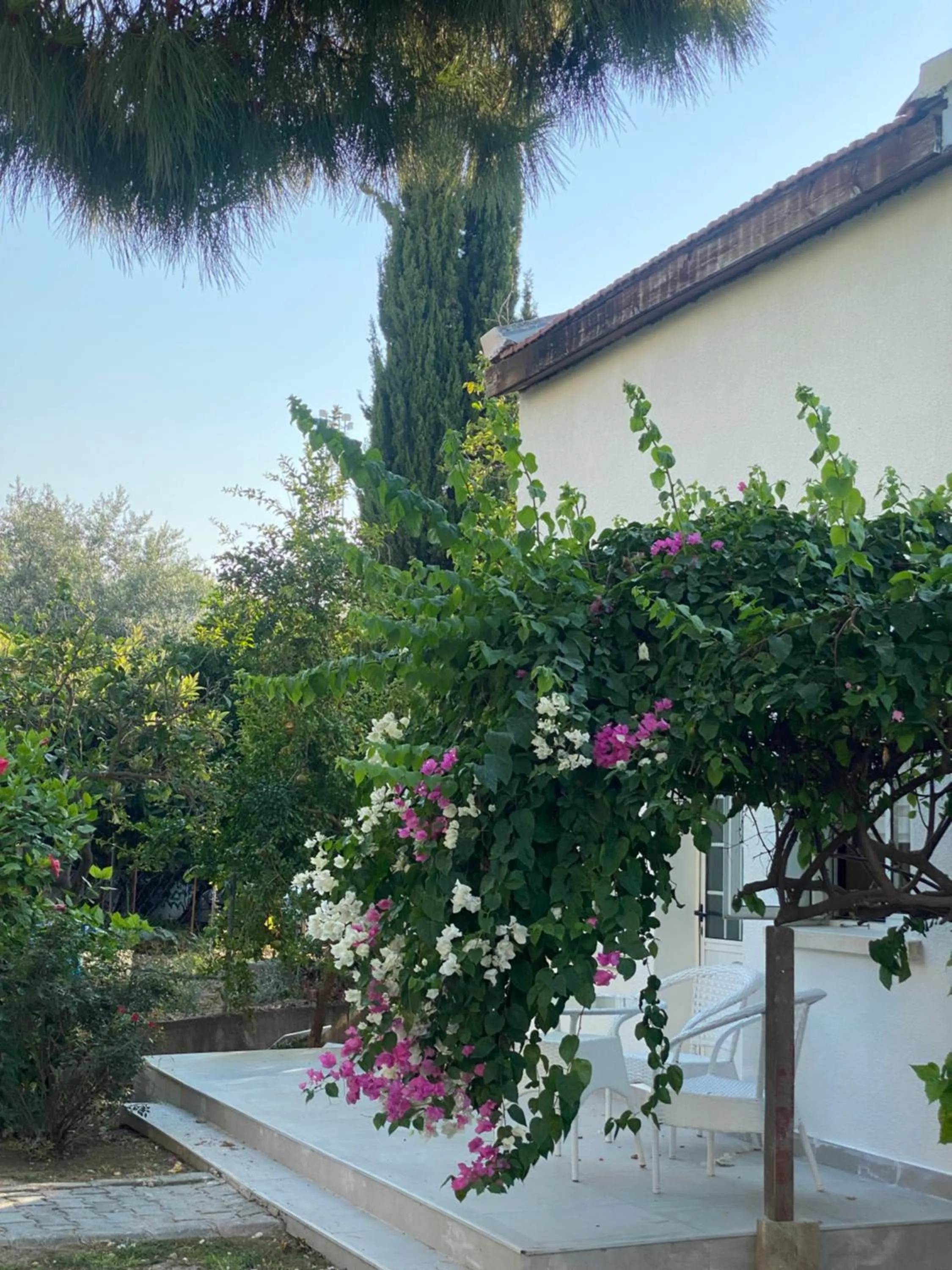 The Prince Inn Hotel & Villas