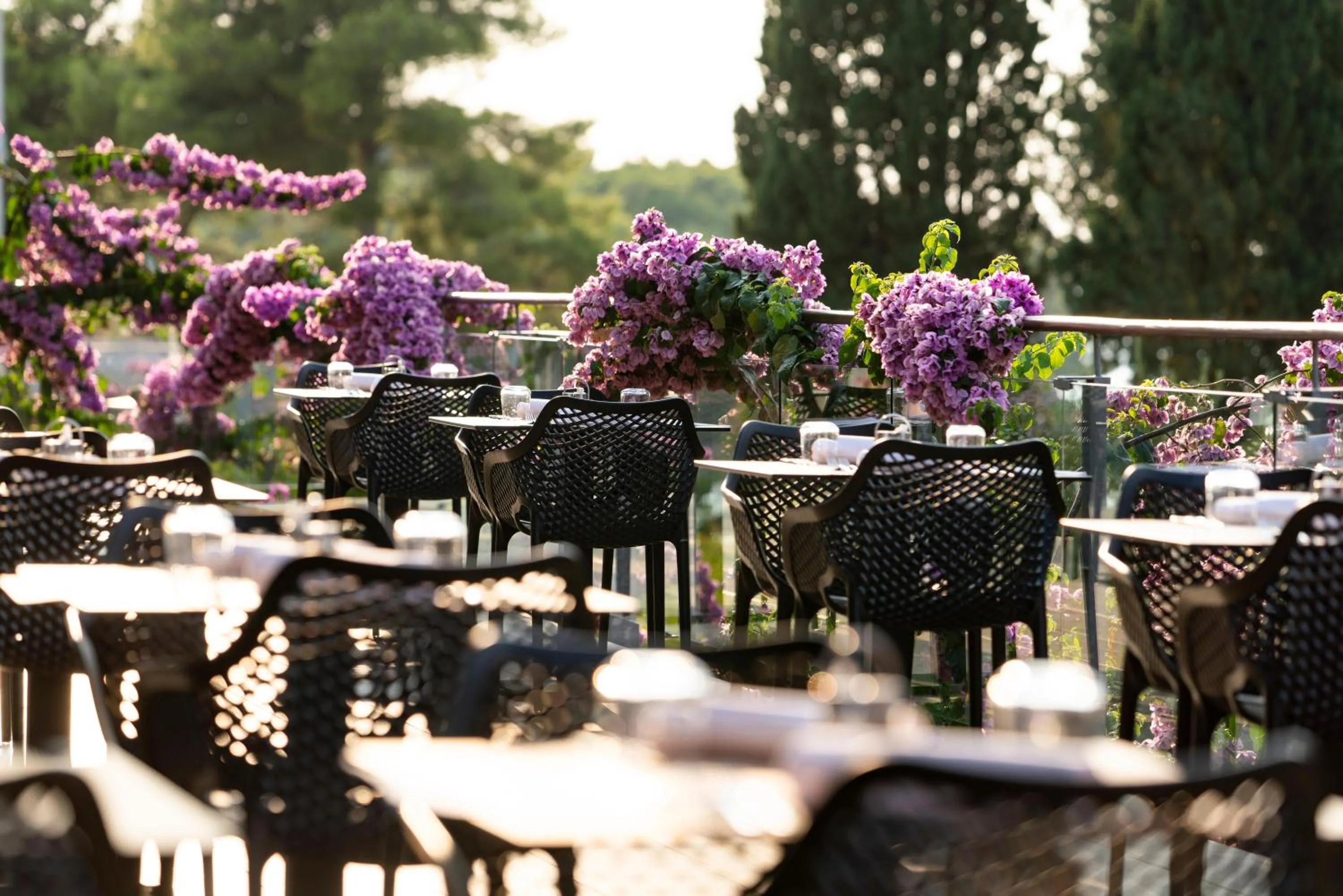 Restaurant/places to eat in Labranda Velaris Village