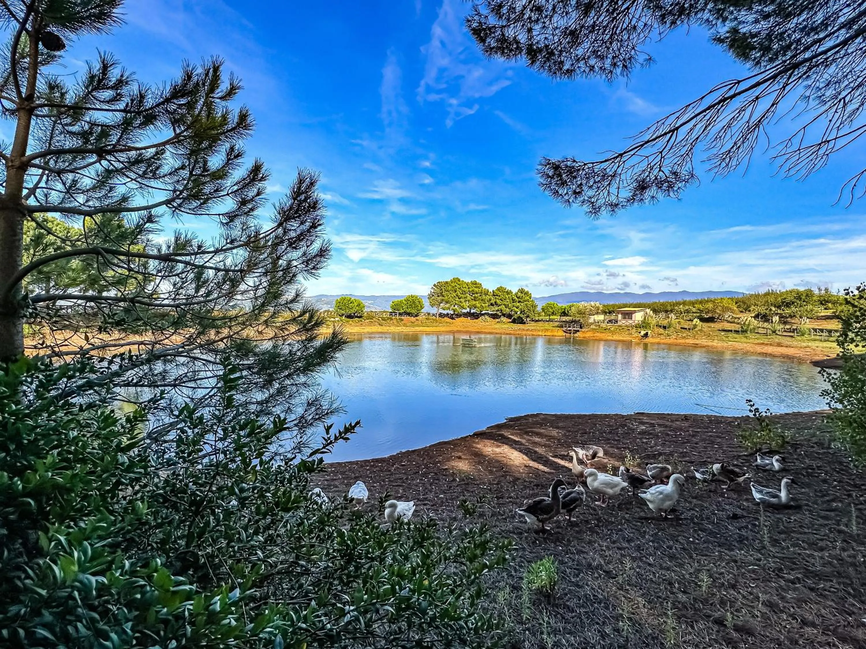Lake view in Popilia Country Resort
