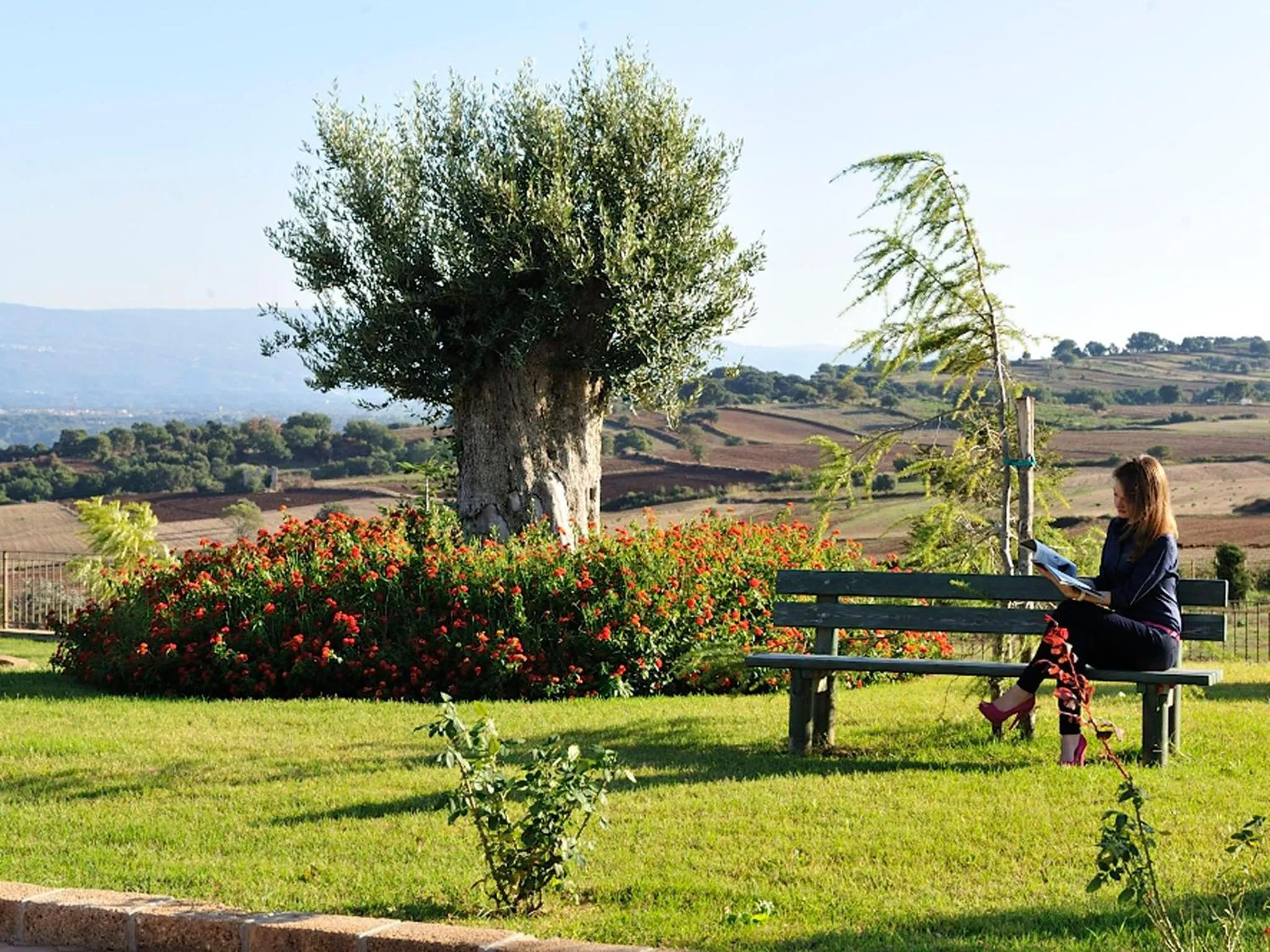 Garden in Popilia Country Resort