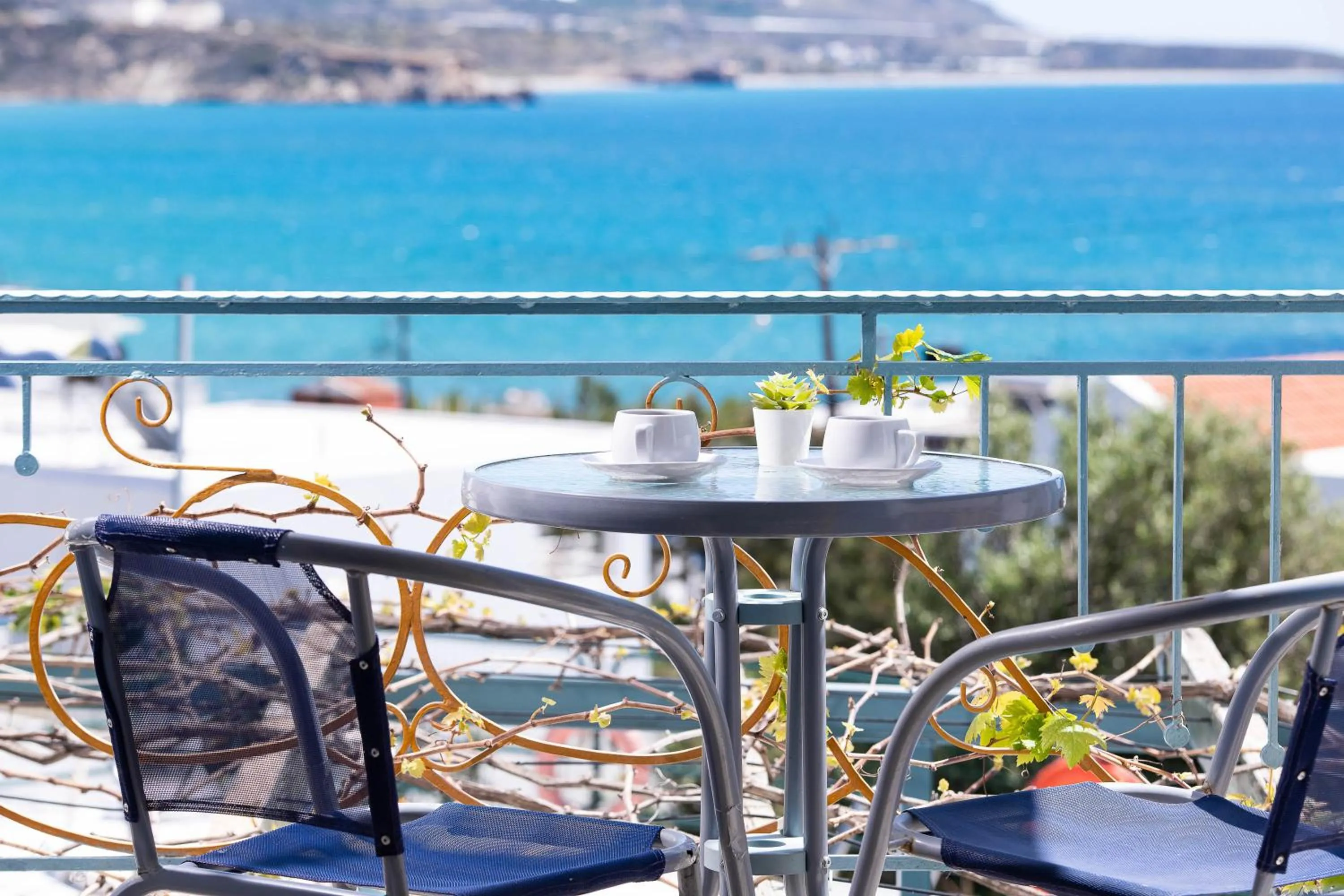 Patio in Afroditi Apartments