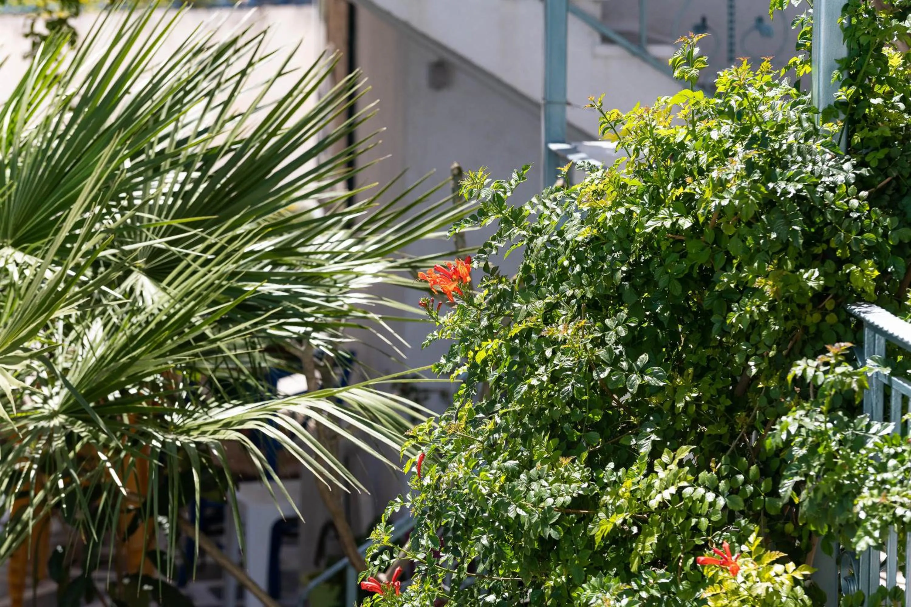 Day in Afroditi Apartments