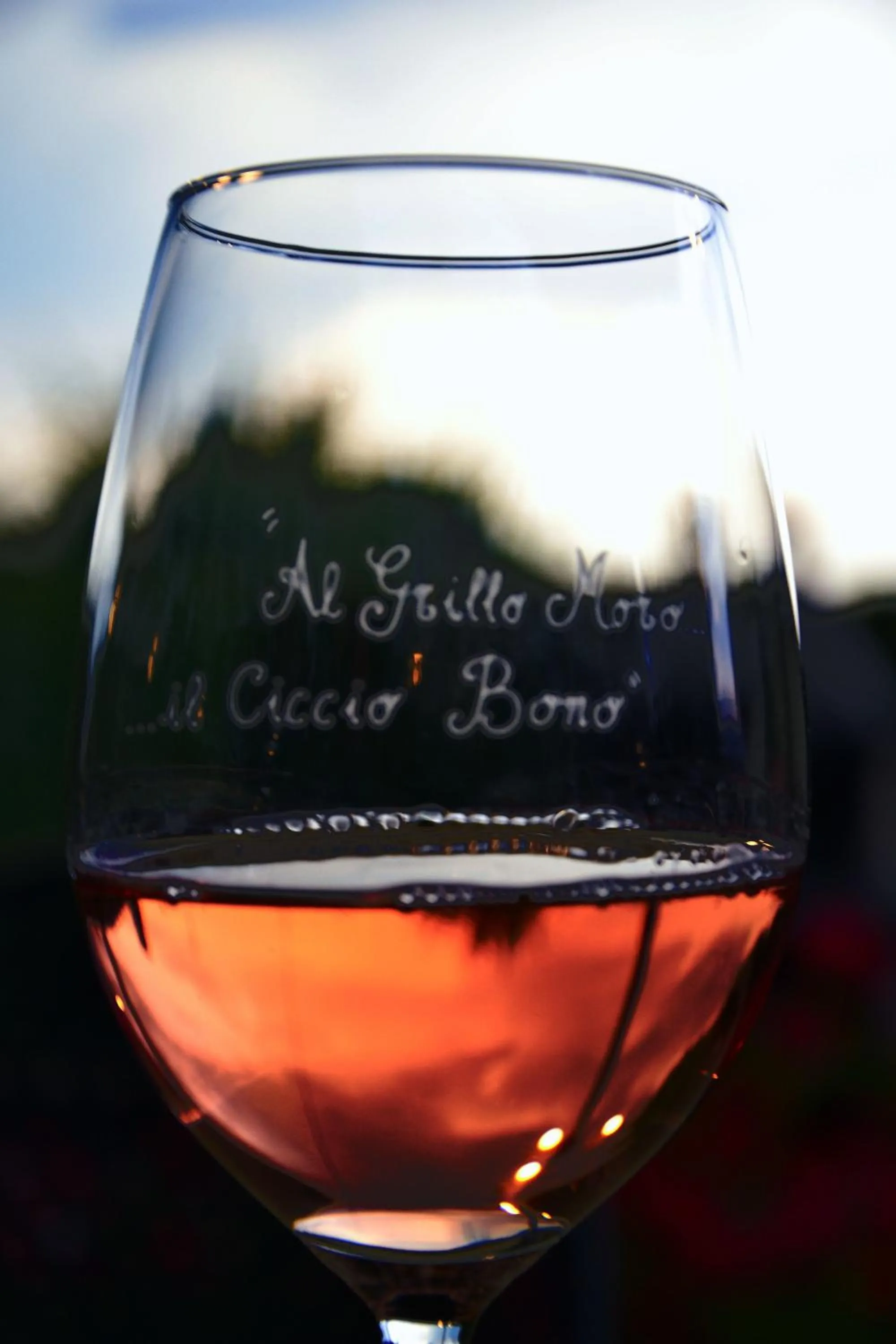 Alcoholic drinks in Casa Di Campagna In Toscana