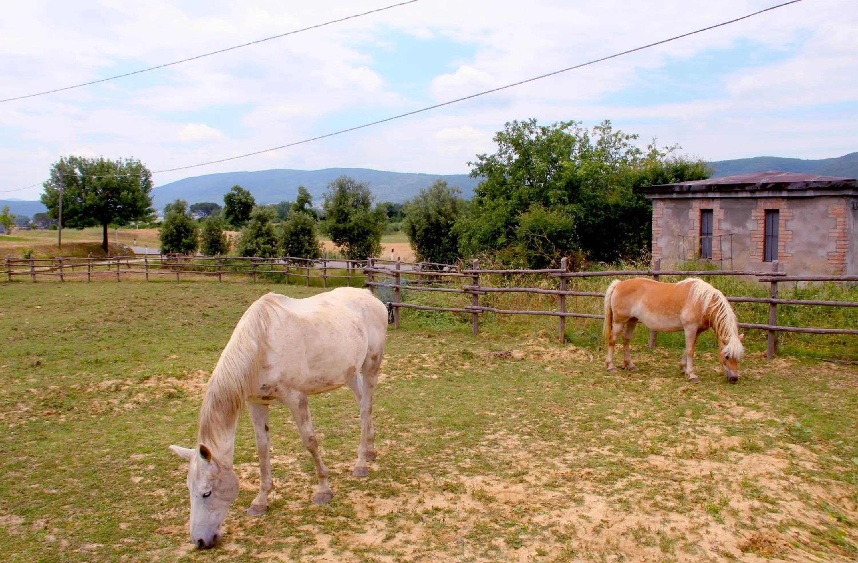 Horse-riding in Casa Di Campagna In Toscana
