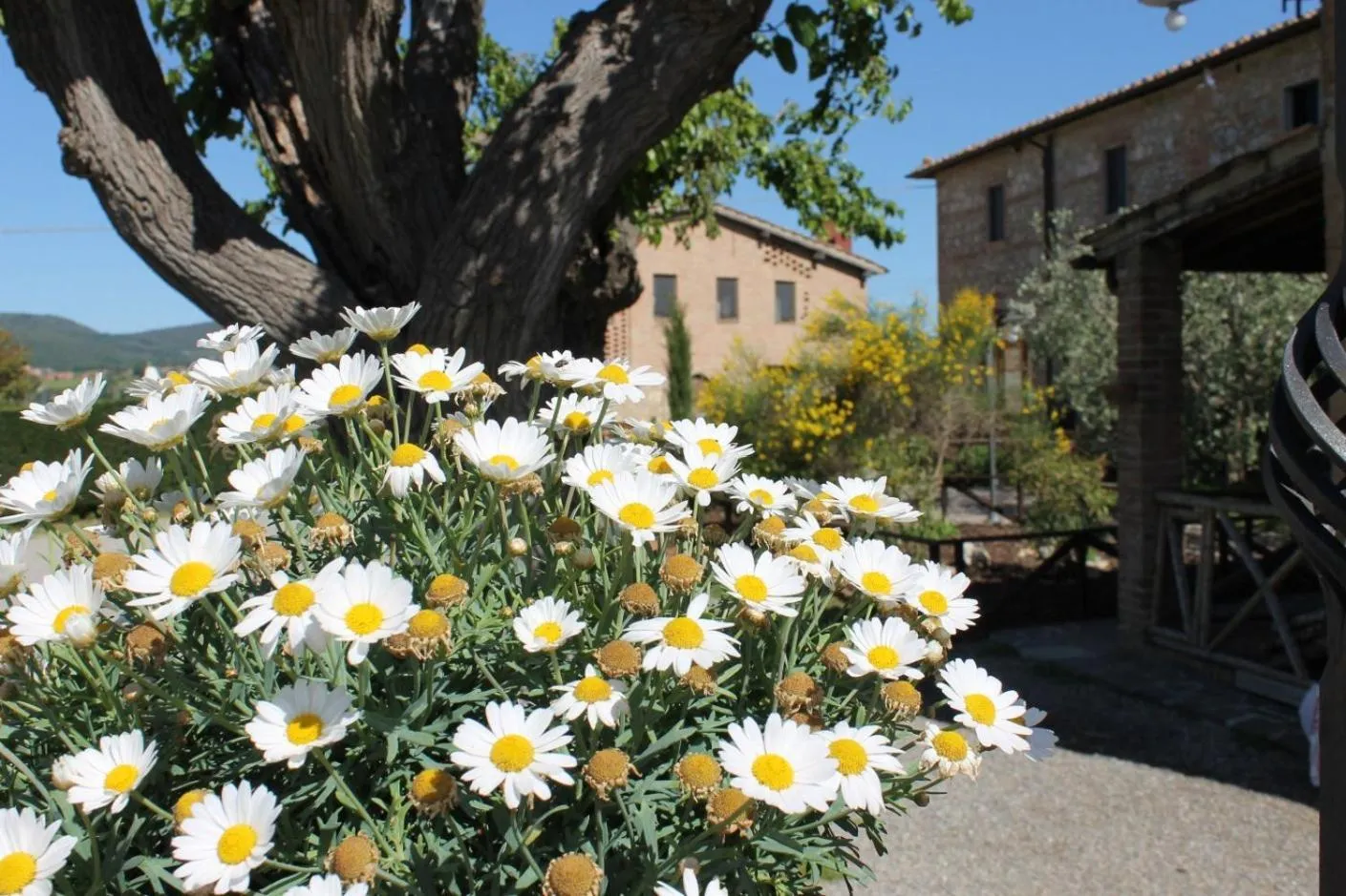 Property building in Casa Di Campagna In Toscana