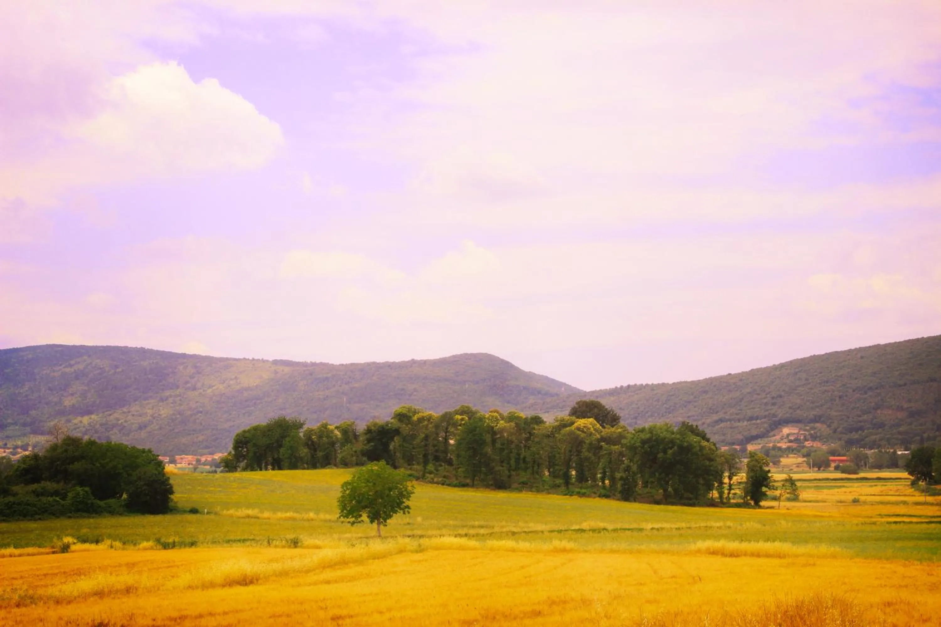 Area and facilities in Casa Di Campagna In Toscana