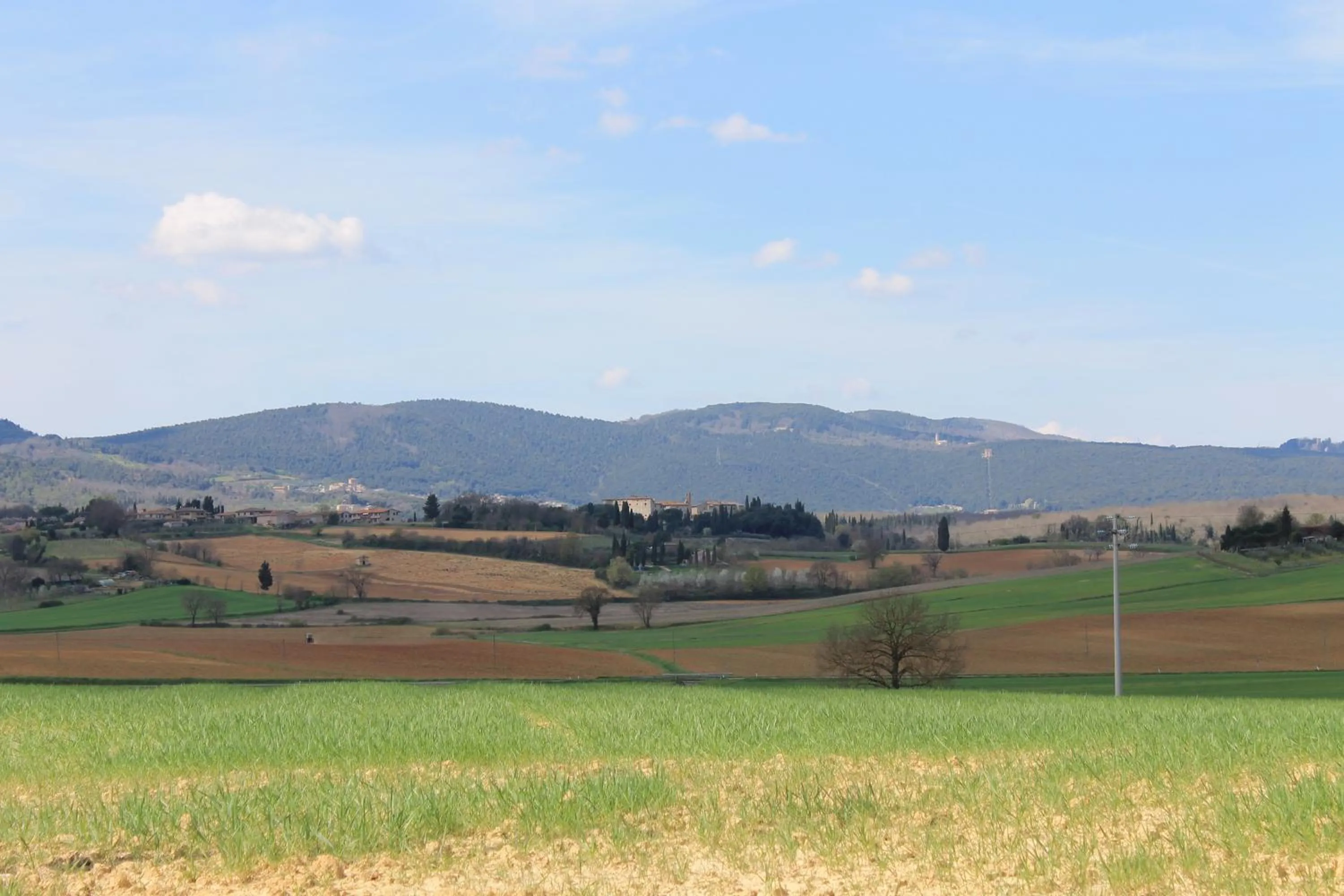 Area and facilities in Casa Di Campagna In Toscana