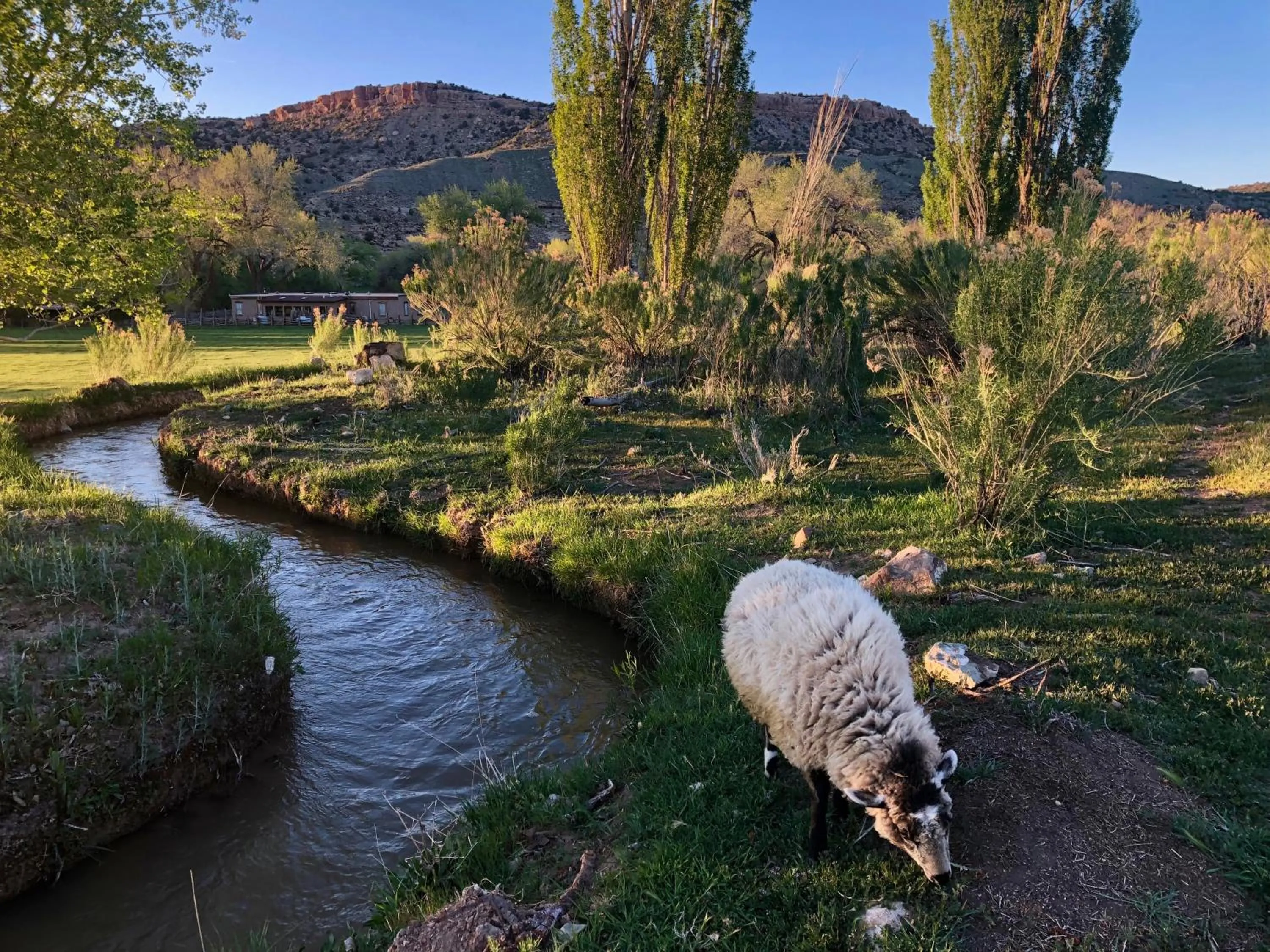 Natural landscape in Canyon Of The Ancients Guest Ranch