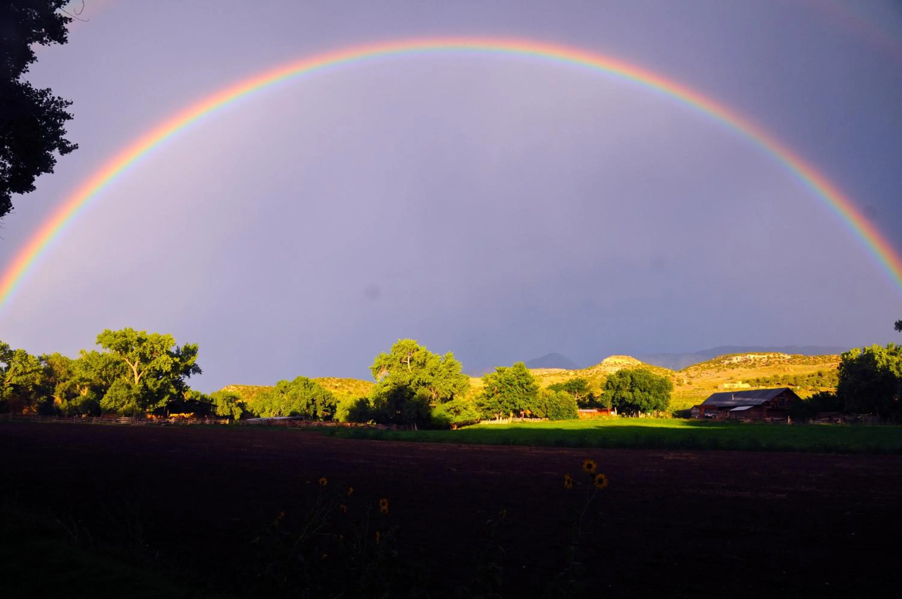 View (from property/room) in Canyon Of The Ancients Guest Ranch