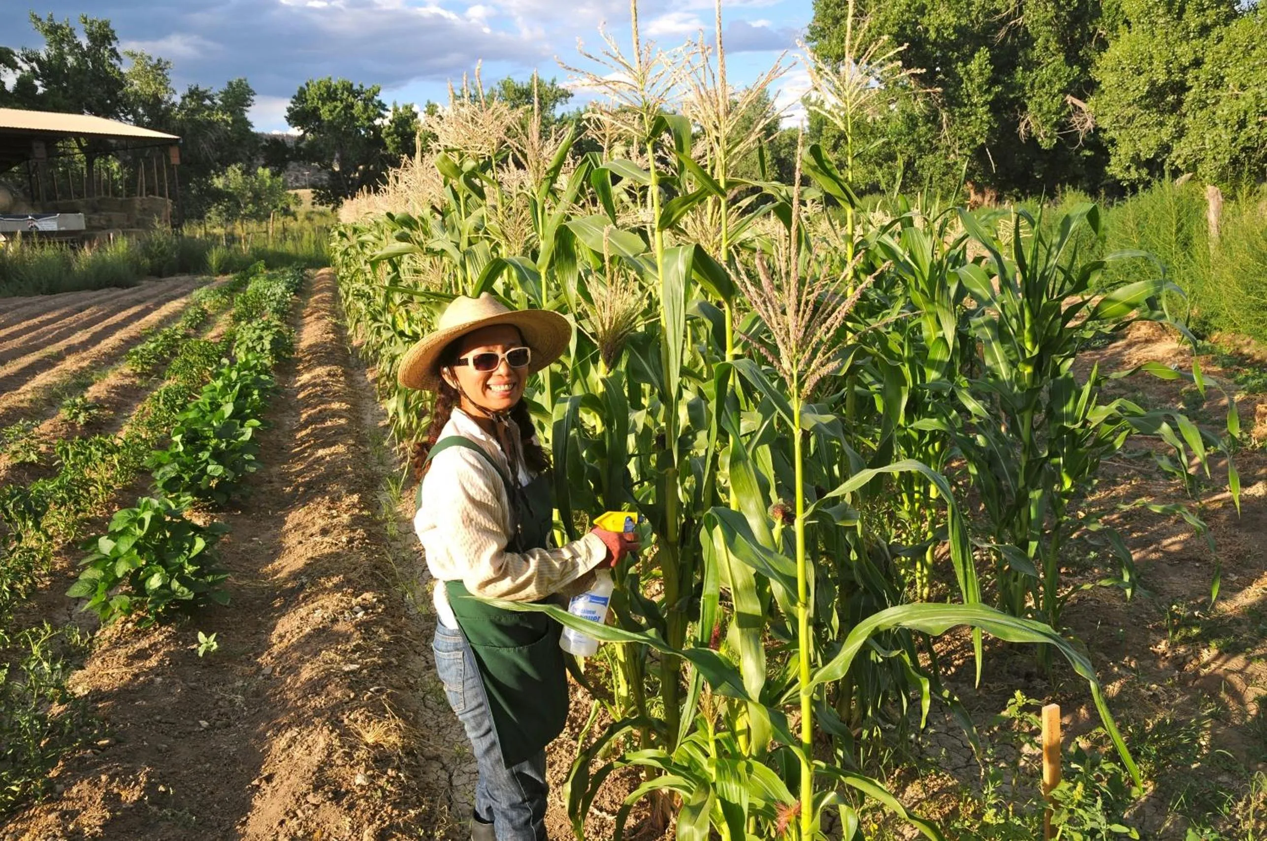 Staff in Canyon Of The Ancients Guest Ranch