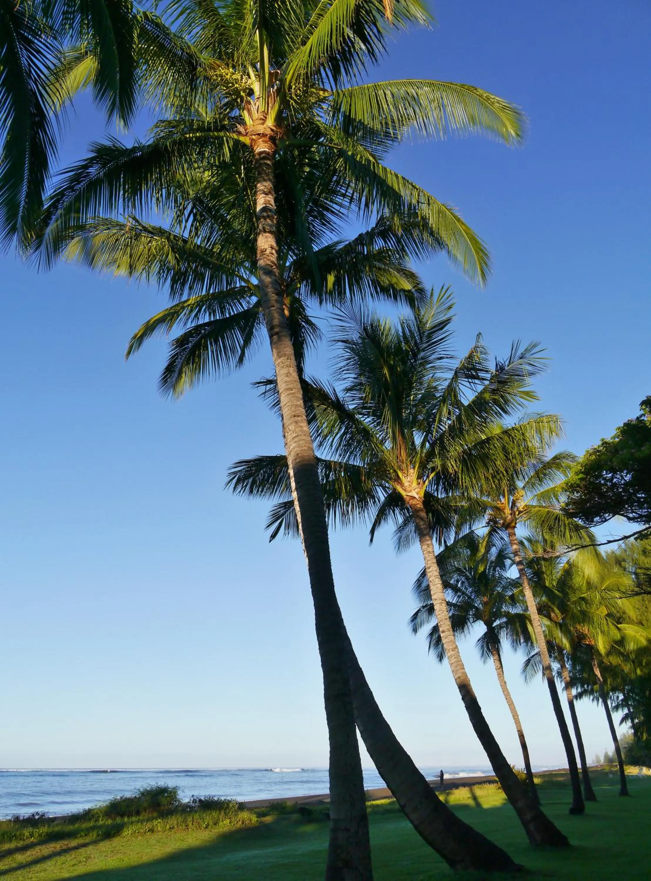 View (from property/room) in Waimea Plantation Cottages, a Coast Resort