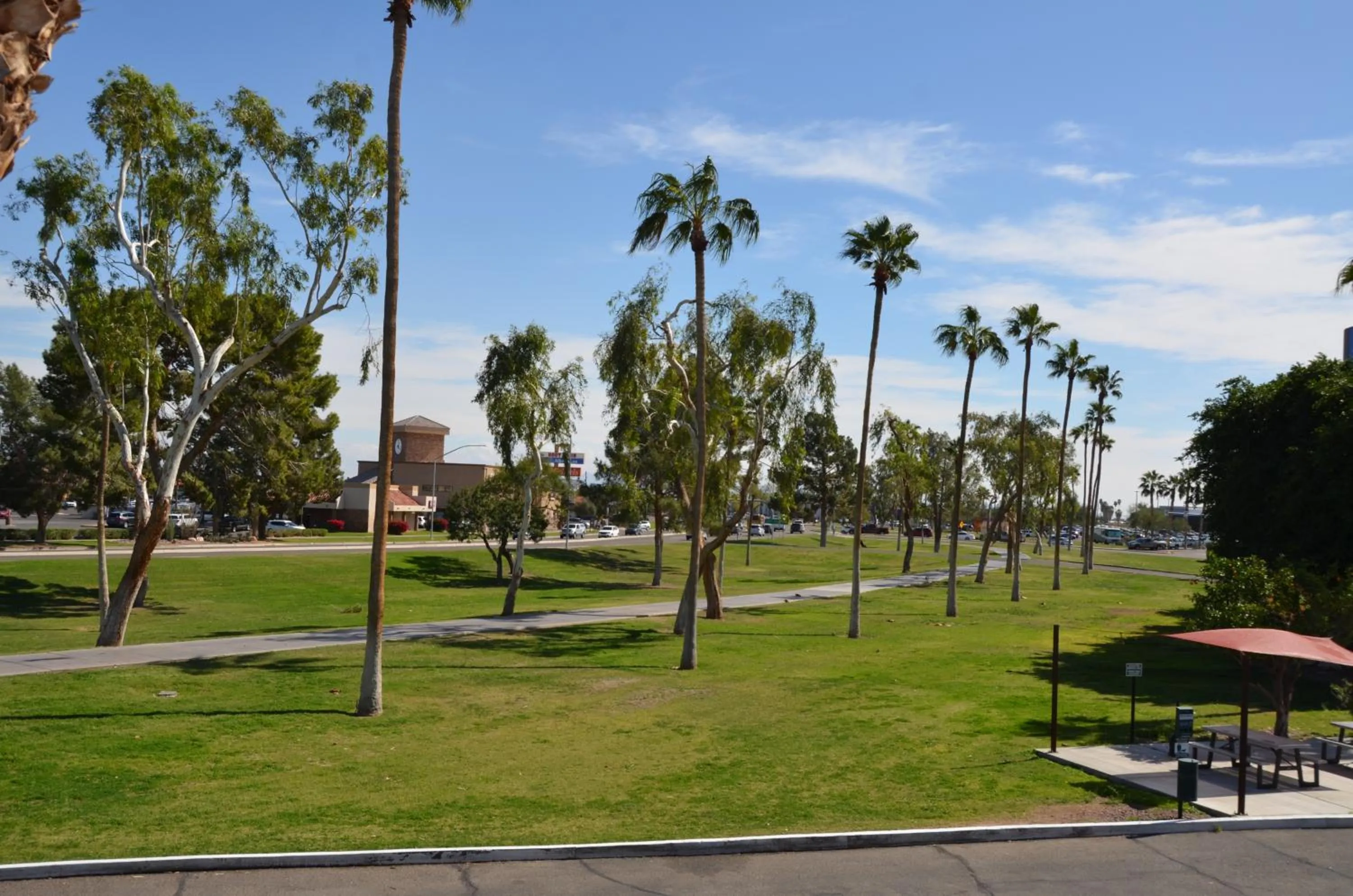 Garden in Howard Johnson by Wyndham Yuma