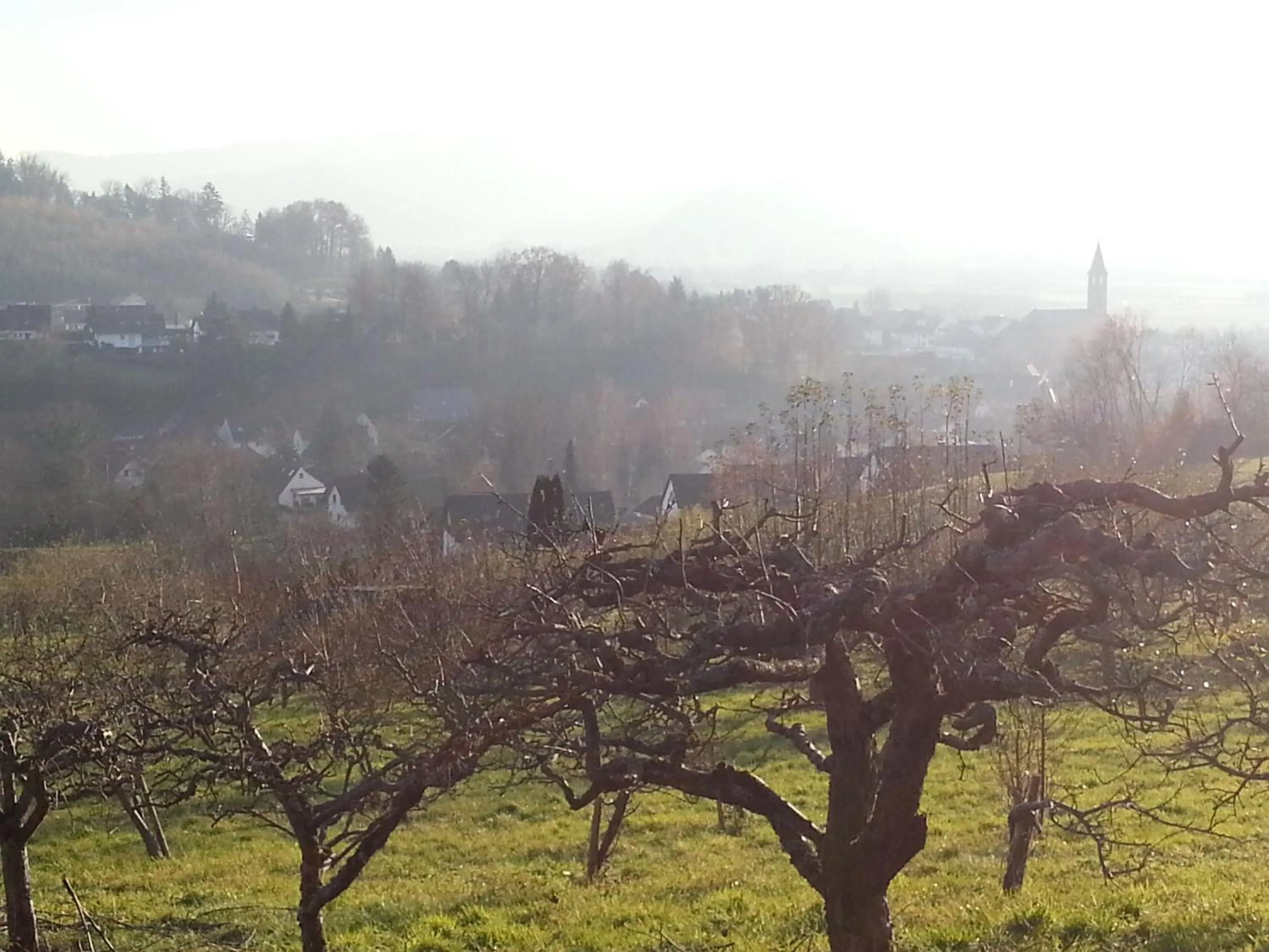 Neighbourhood in Gaestehaus Tagescafe Eckenfels