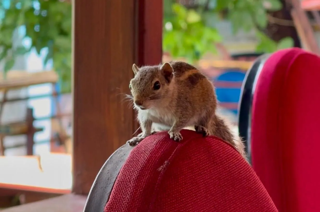 Hotel 4 U Saliya Garden