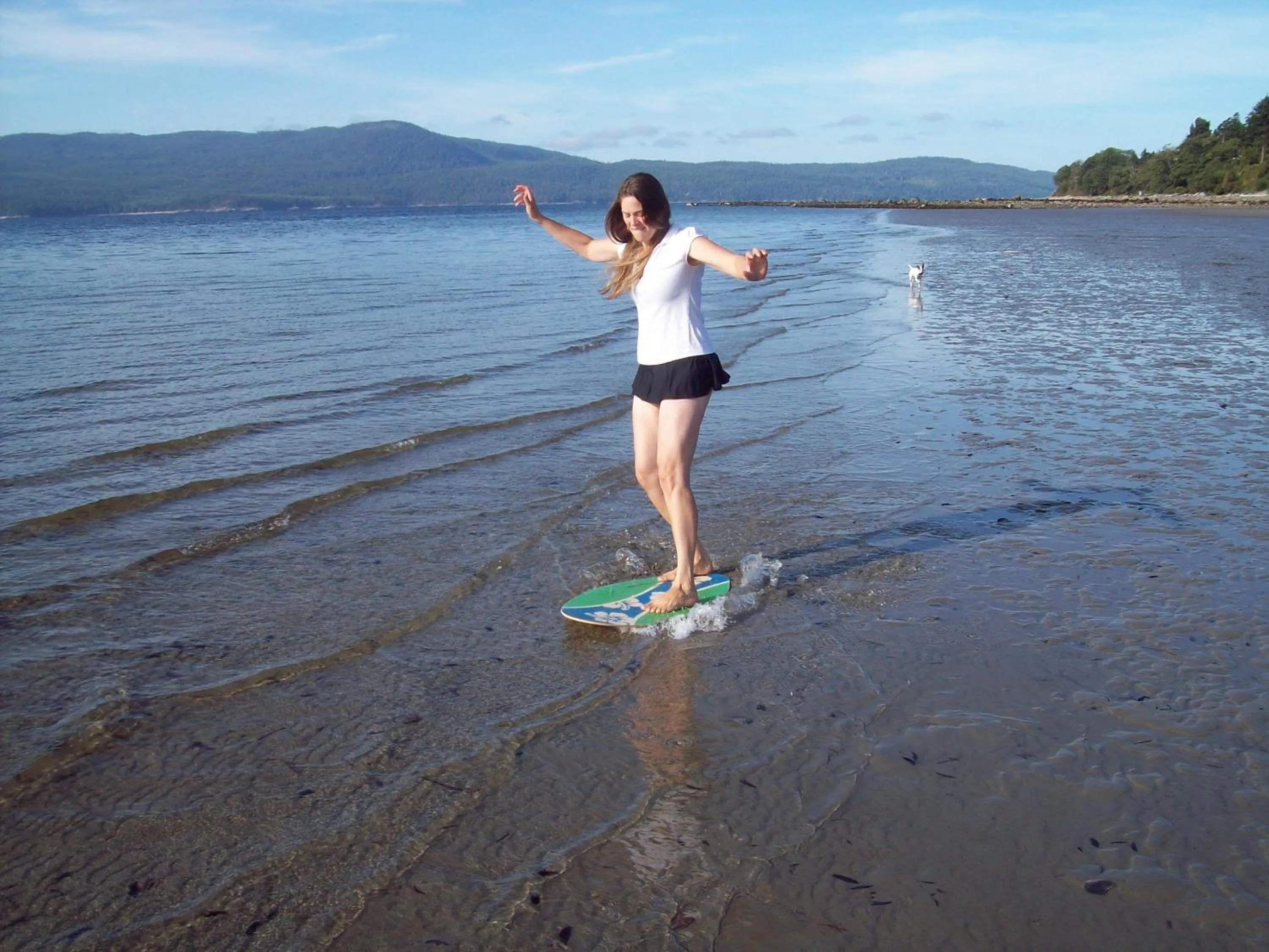 Beach in Higgin's Inn