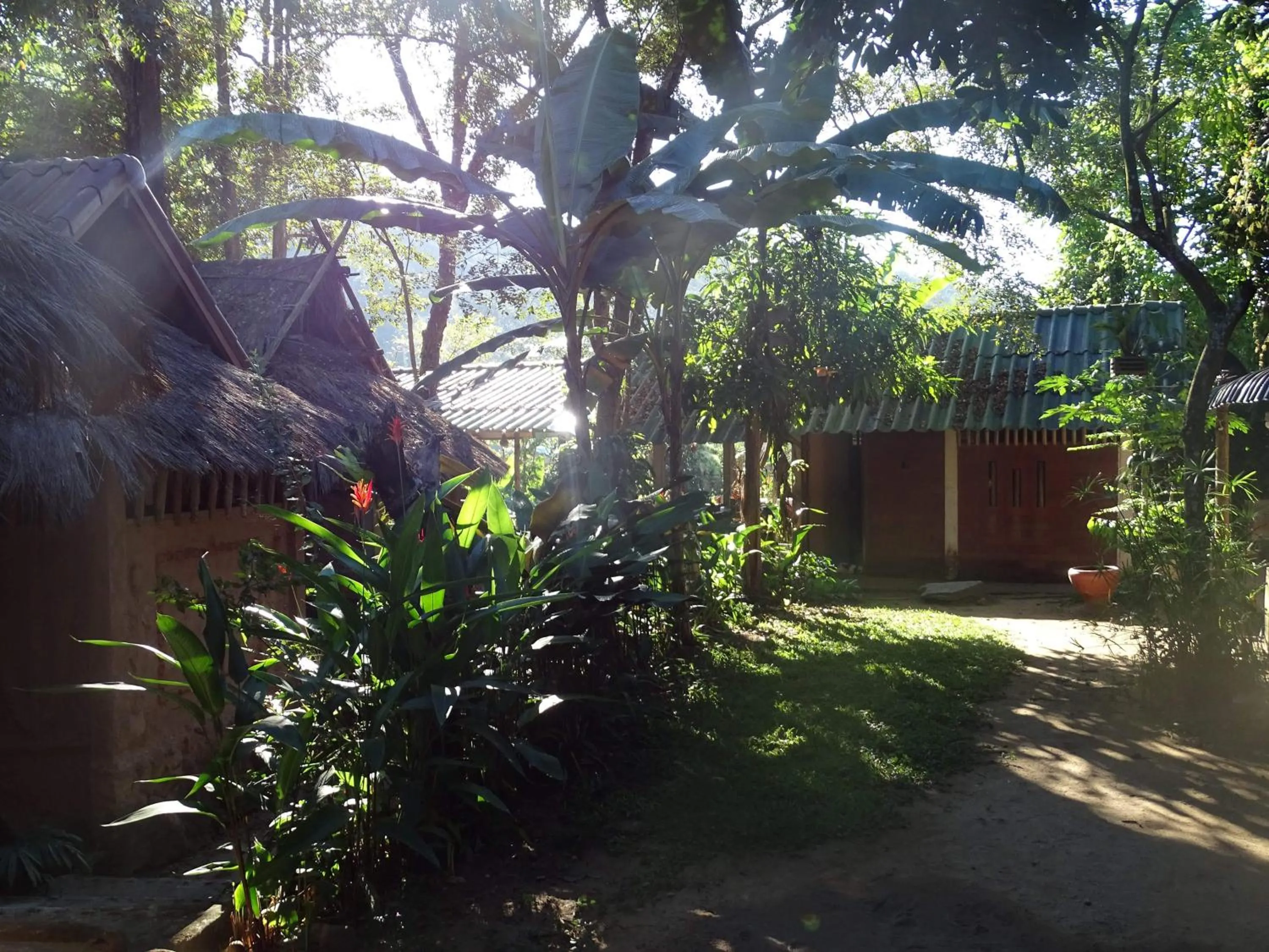 Garden in Hill Tribe Art House (Lahu & Akha Homestay)