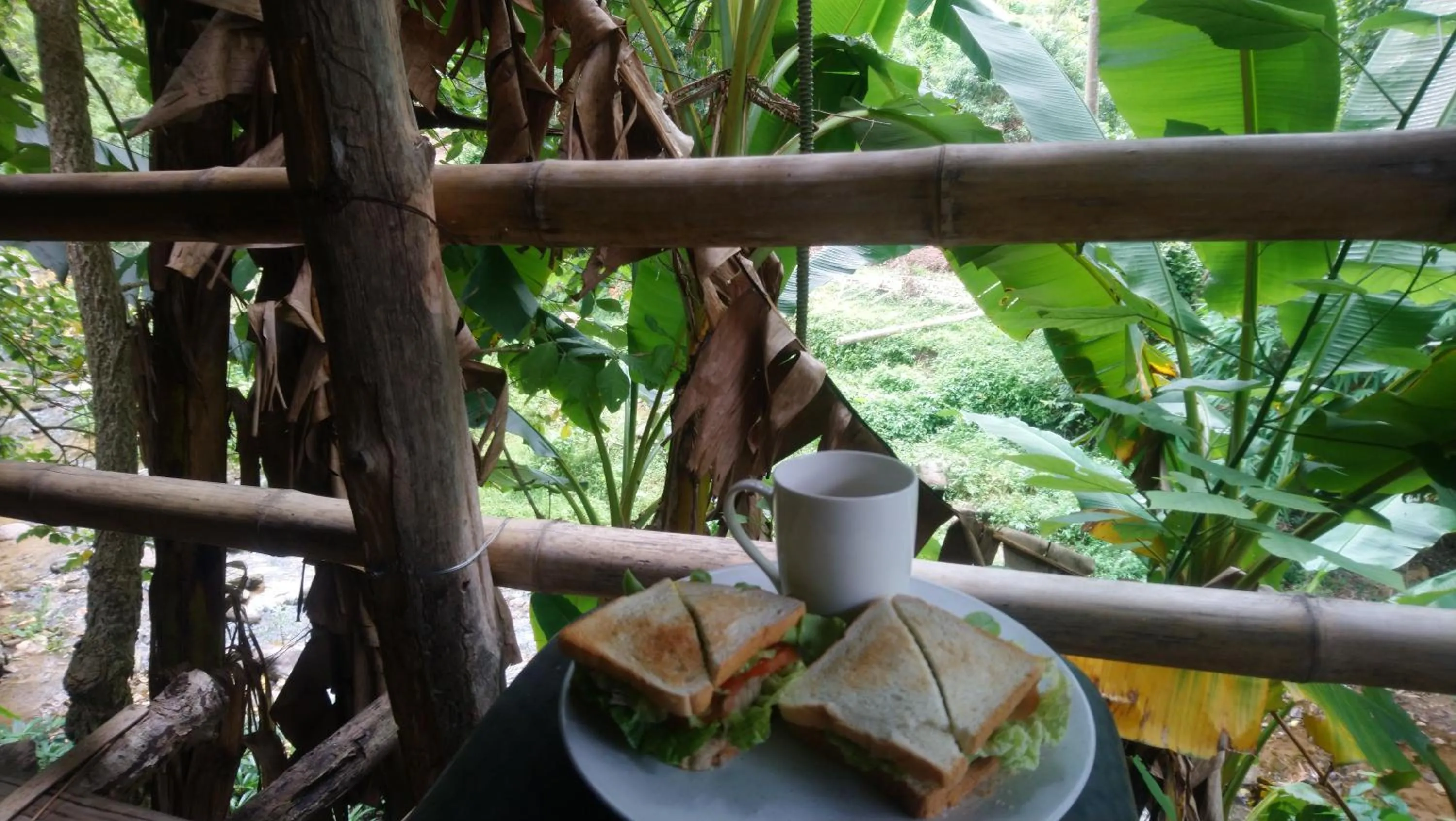 Hill Tribe Art House (Lahu & Akha Homestay)