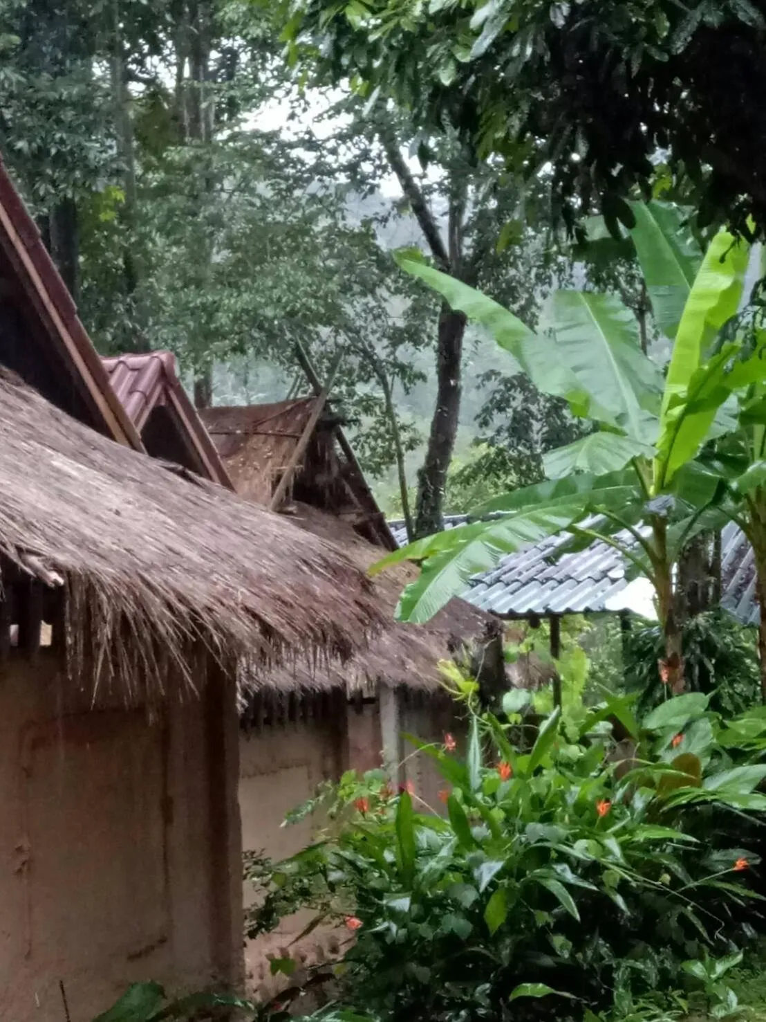 Hill Tribe Art House (Lahu & Akha Homestay)