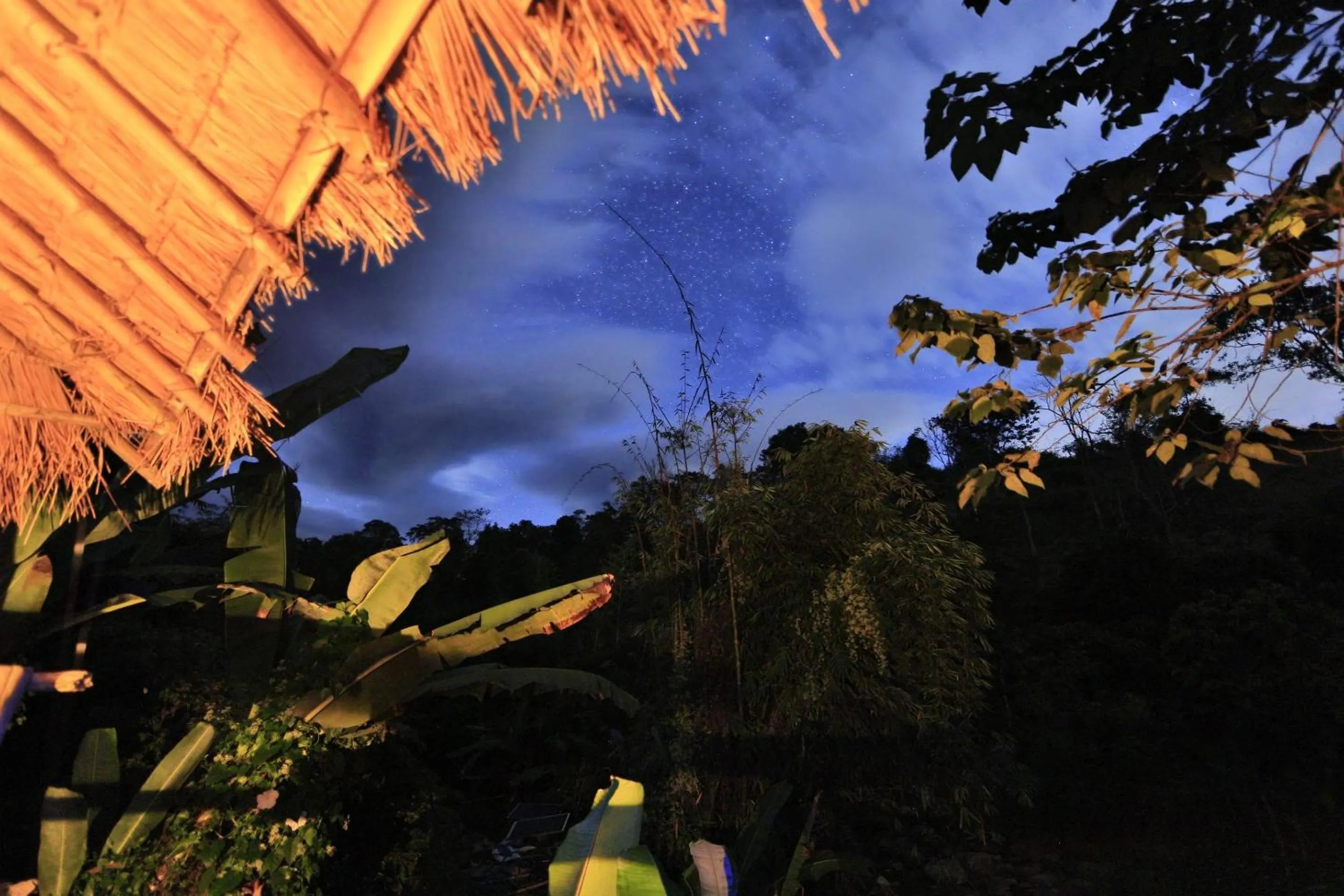 Hill Tribe Art House (Lahu & Akha Homestay)