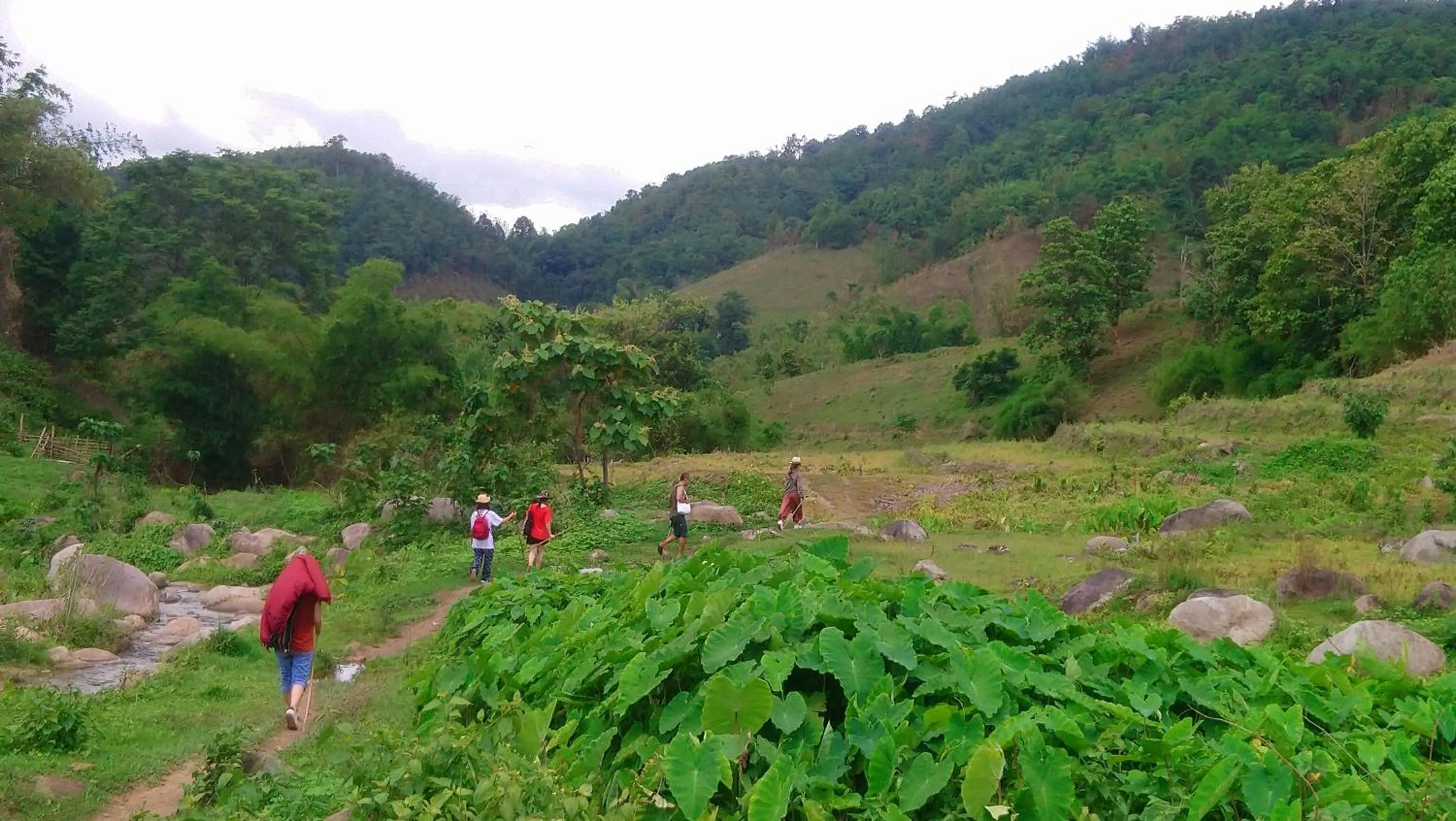 Hill Tribe Art House (Lahu & Akha Homestay)