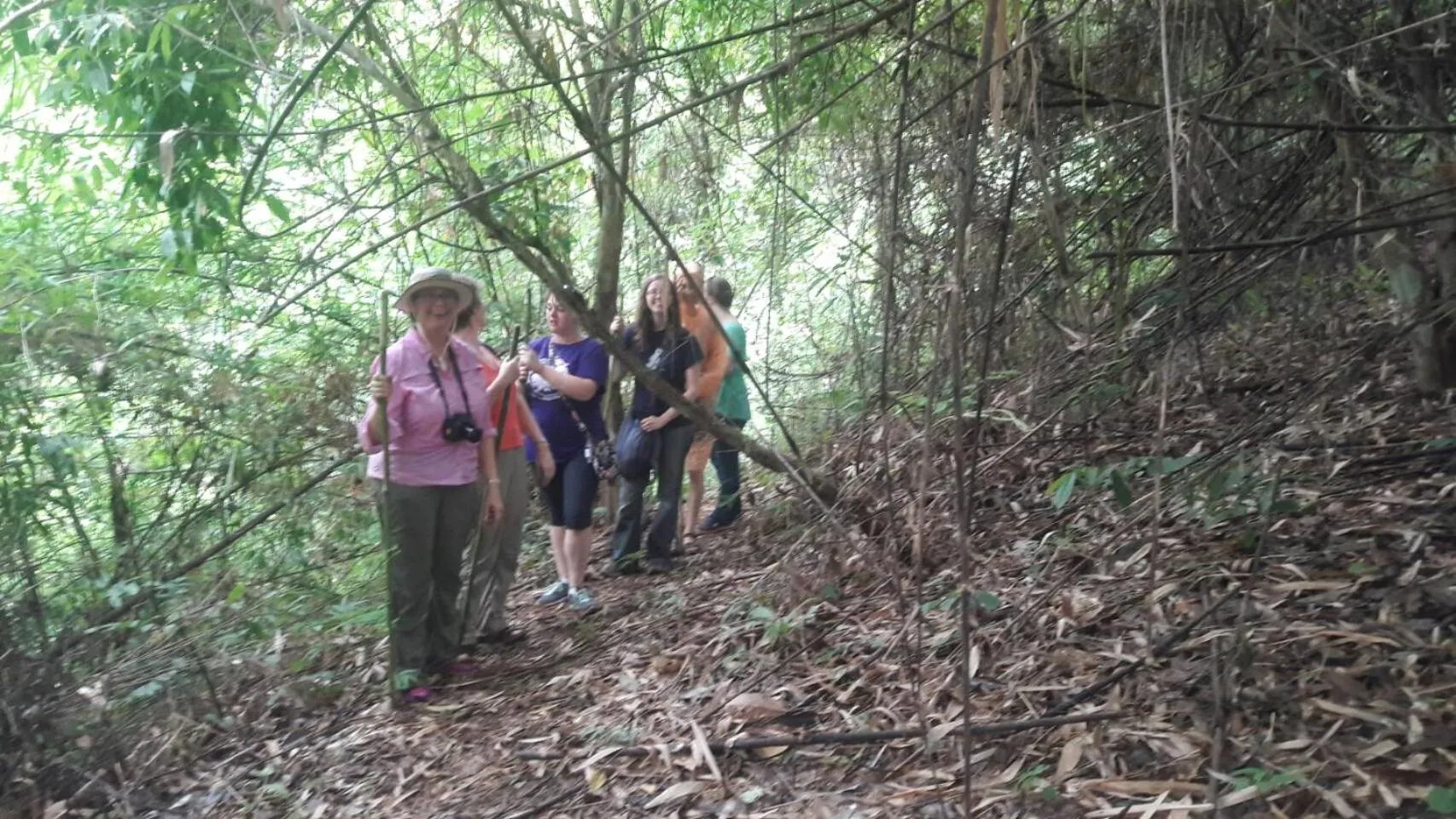 Hill Tribe Art House (Lahu & Akha Homestay)