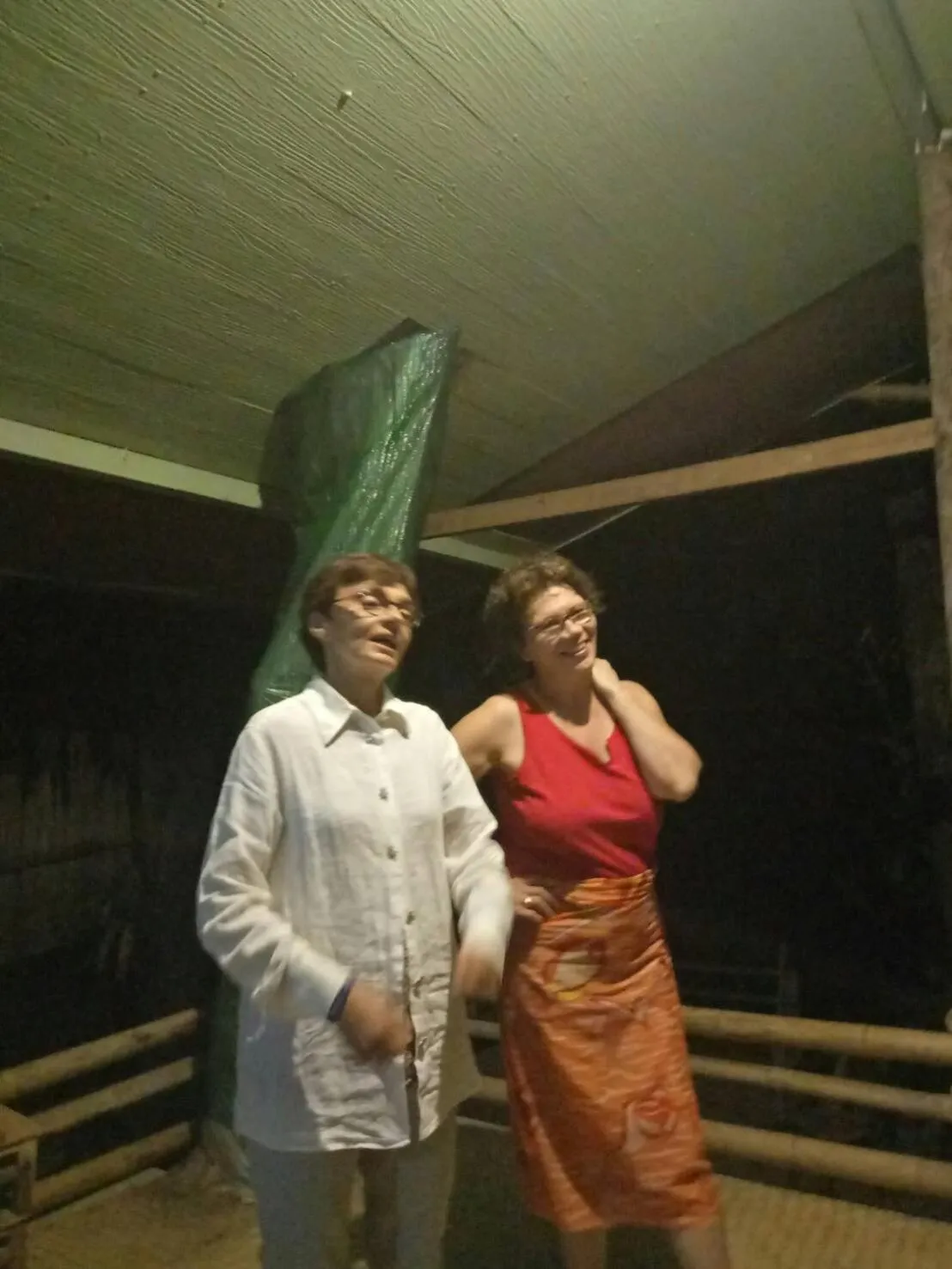 Hill Tribe Art House (Lahu & Akha Homestay)