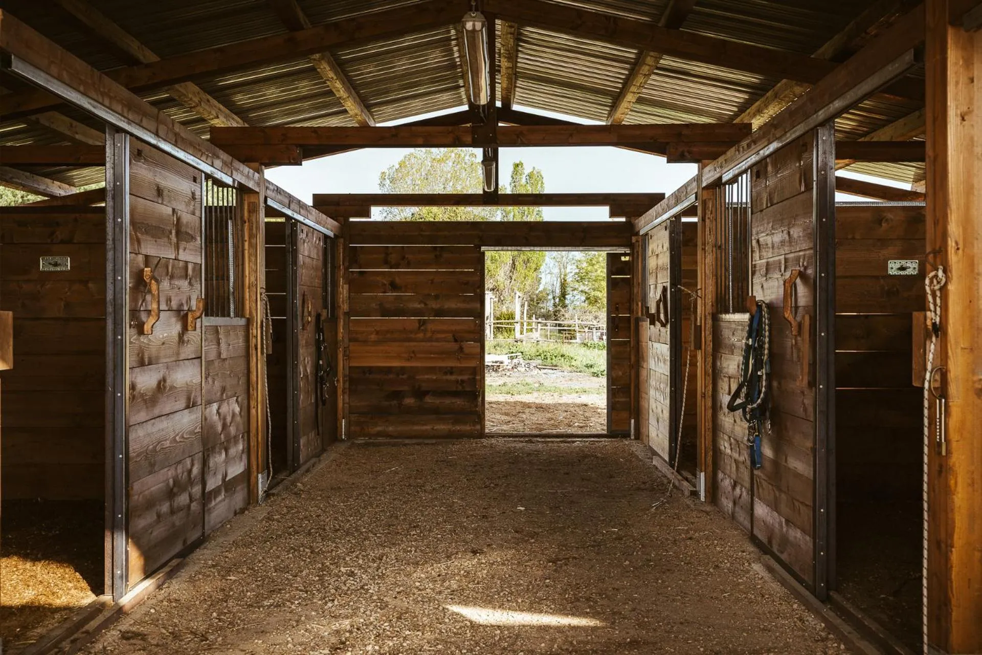 Horse-riding in Agriturismo Sweet Cottage