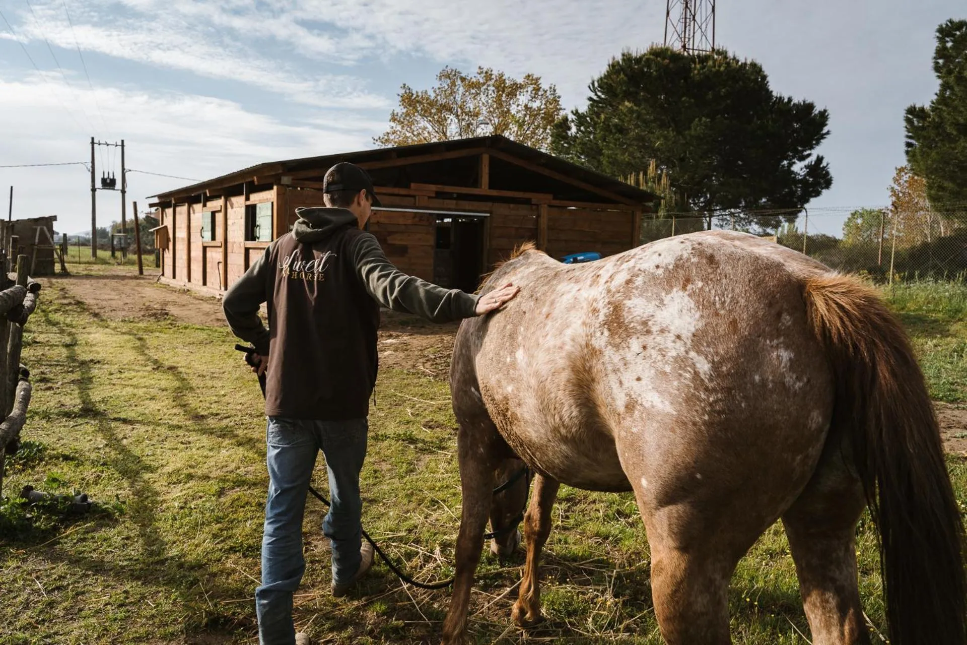Horse-riding in Agriturismo Sweet Cottage