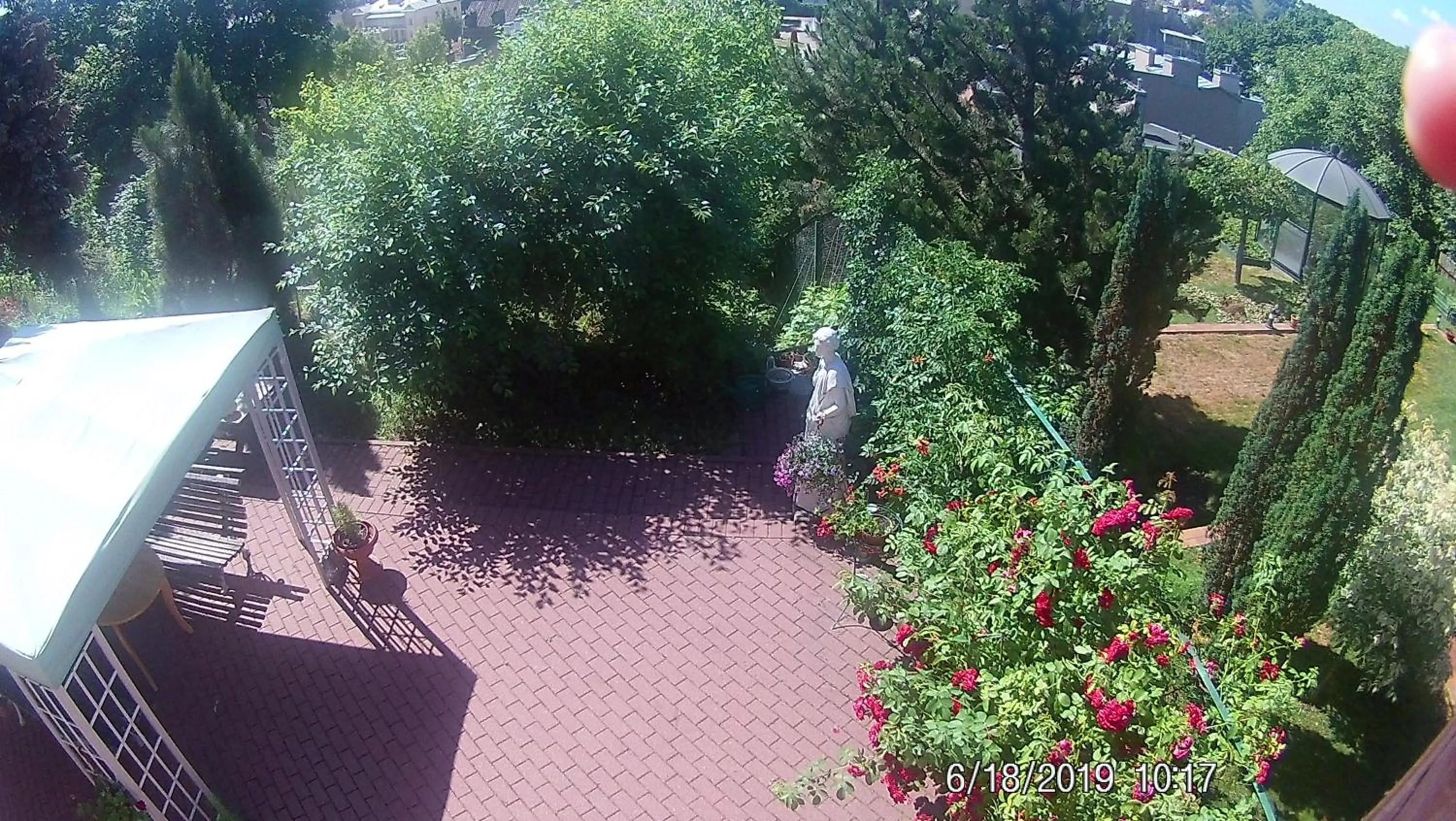 Garden view in Family