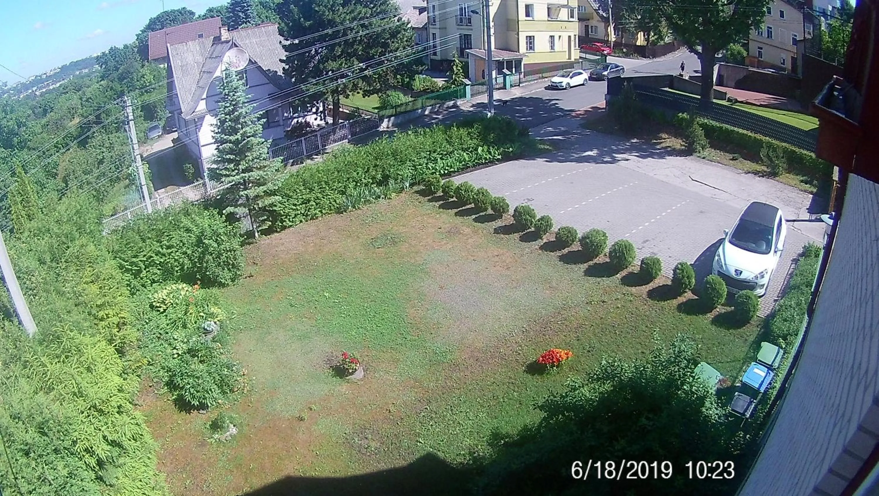 Garden view in Family