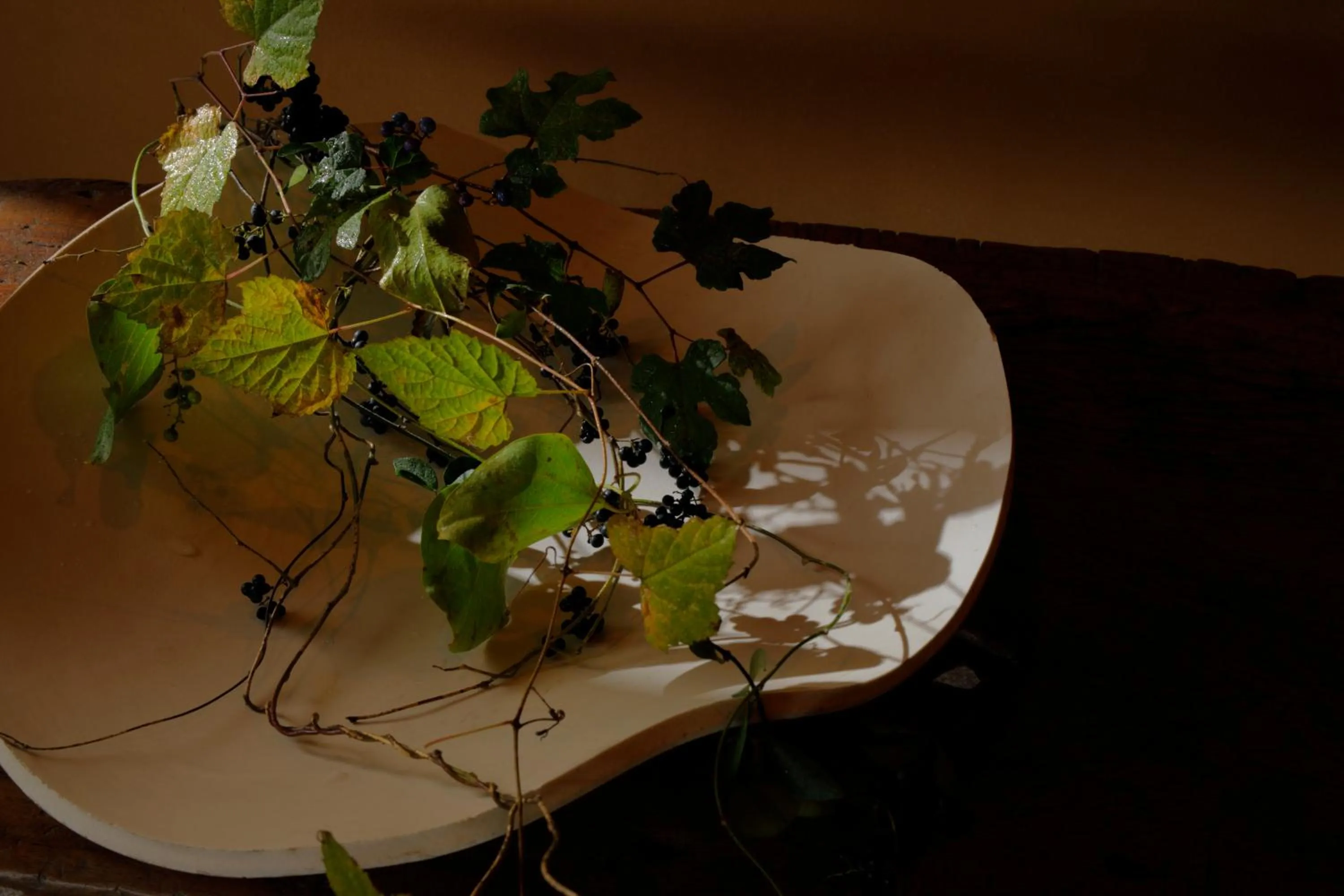 Arima Onsen Takayamaso Hanano