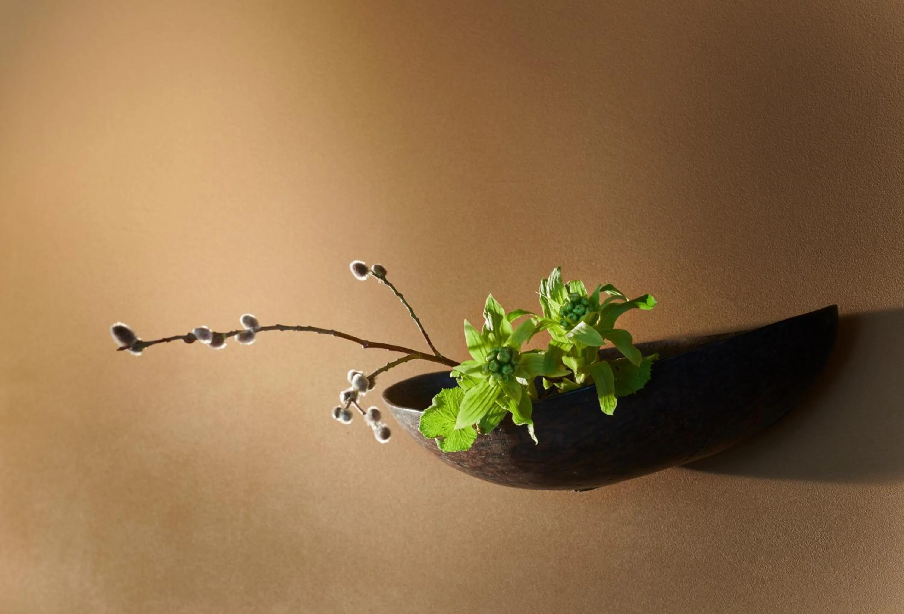 Arima Onsen Takayamaso Hanano