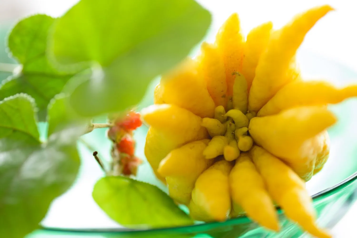 Arima Onsen Takayamaso Hanano