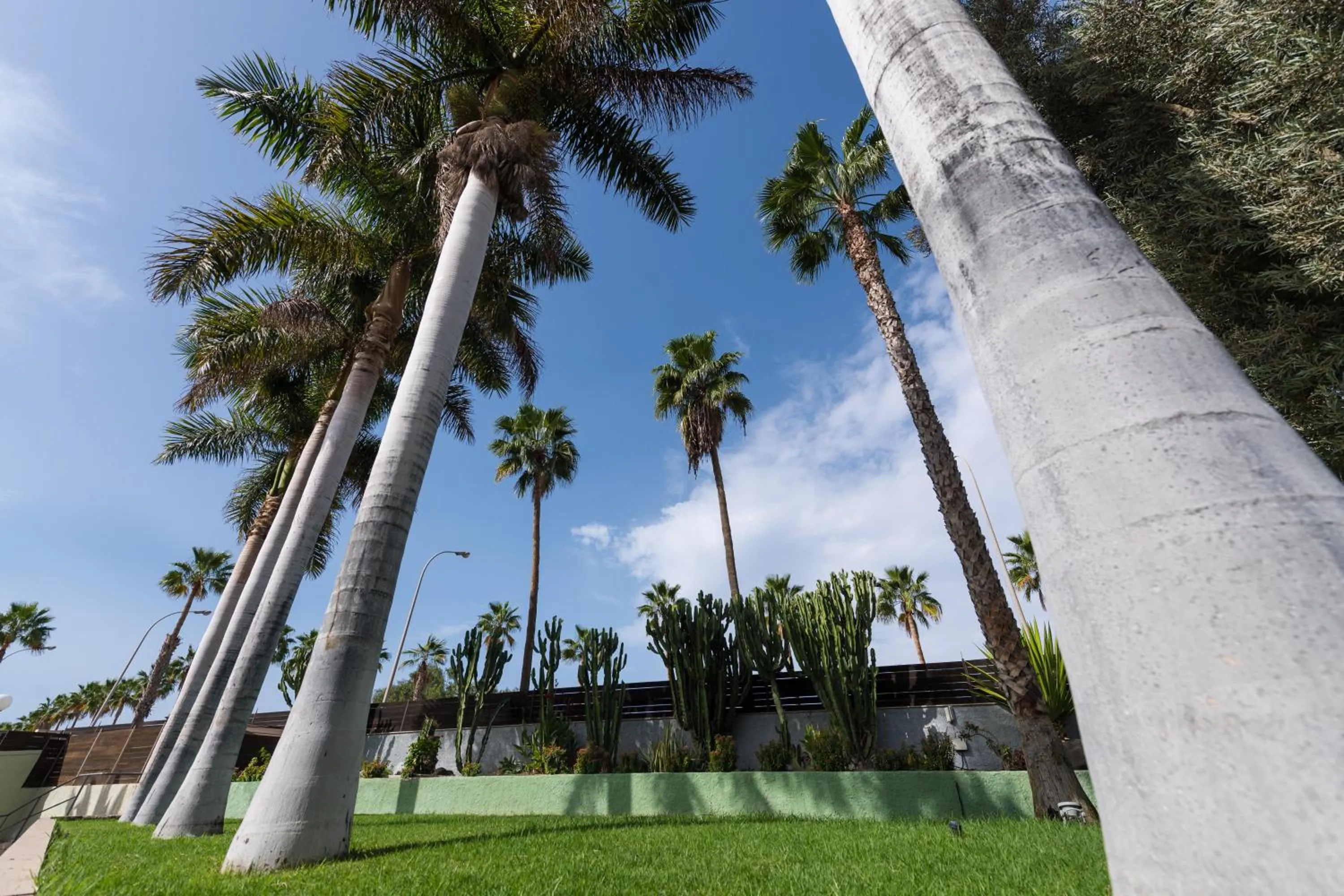 Garden in eó Maspalomas Resort