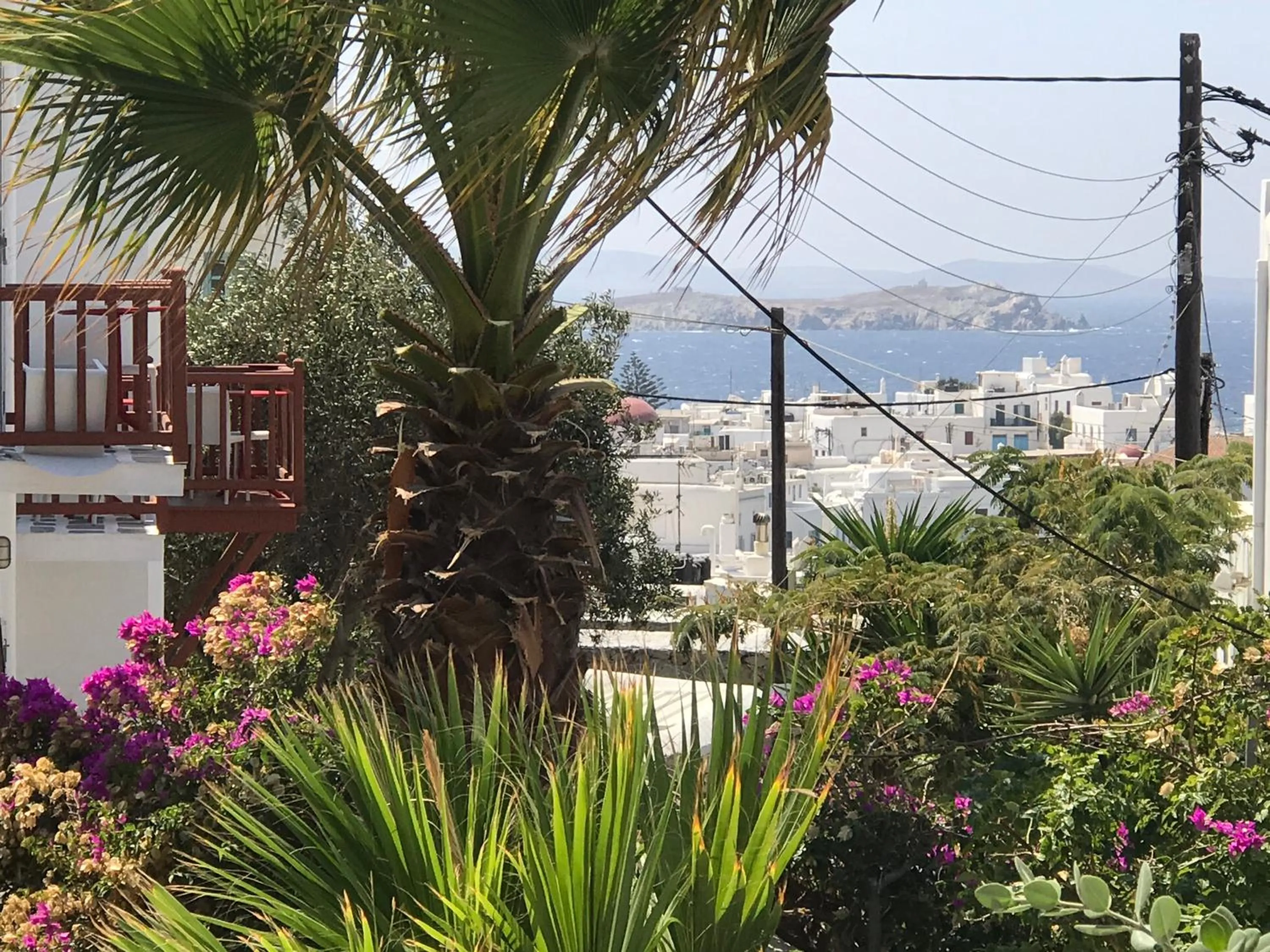 Garden in Studios & Suites Rania