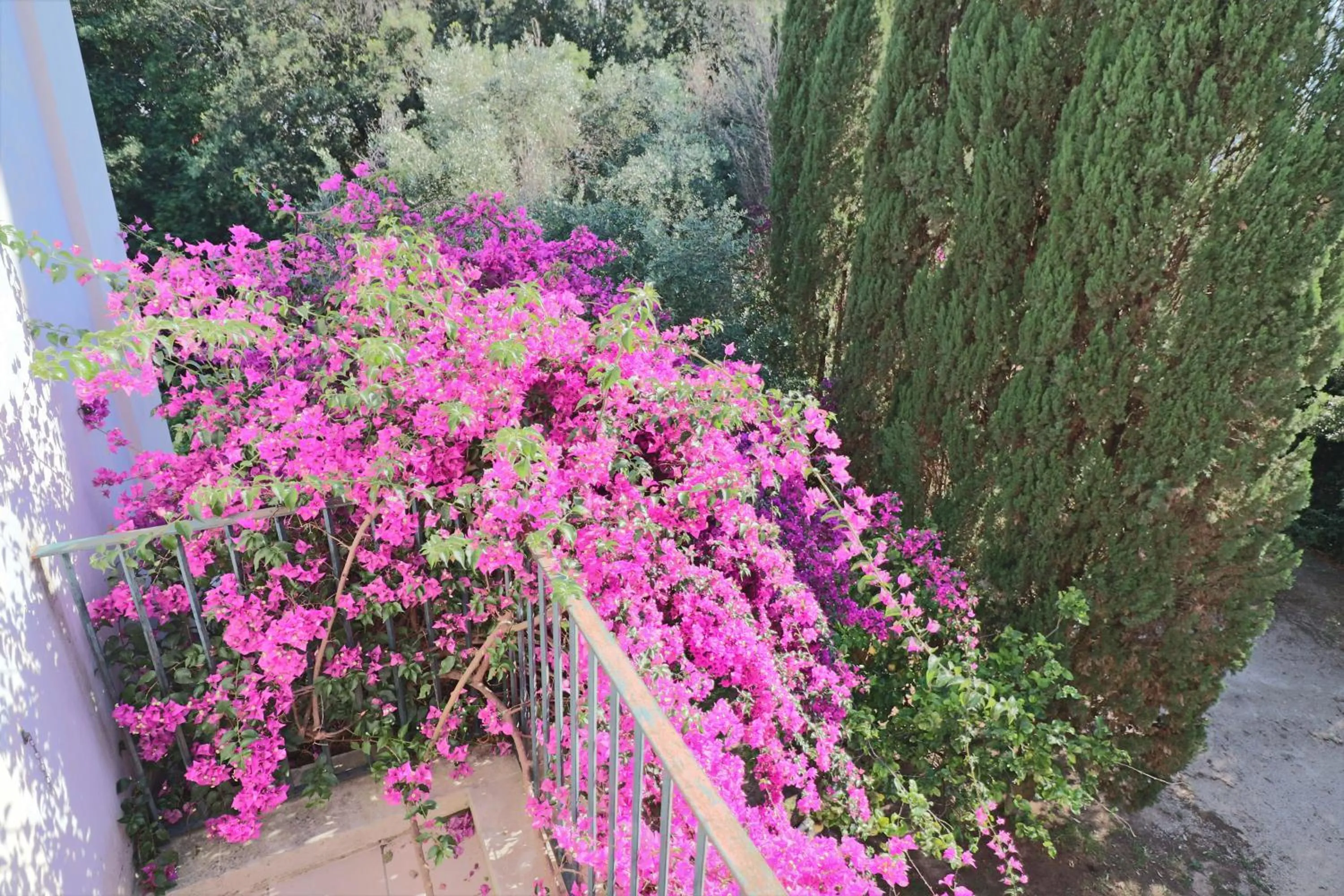 Balcony/Terrace in Relais Delle Rose