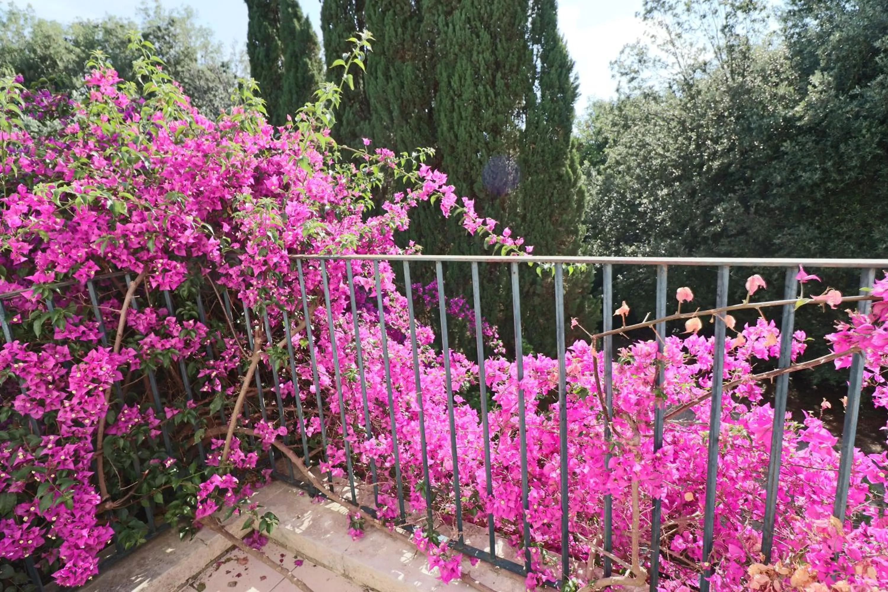 Garden in Relais Delle Rose